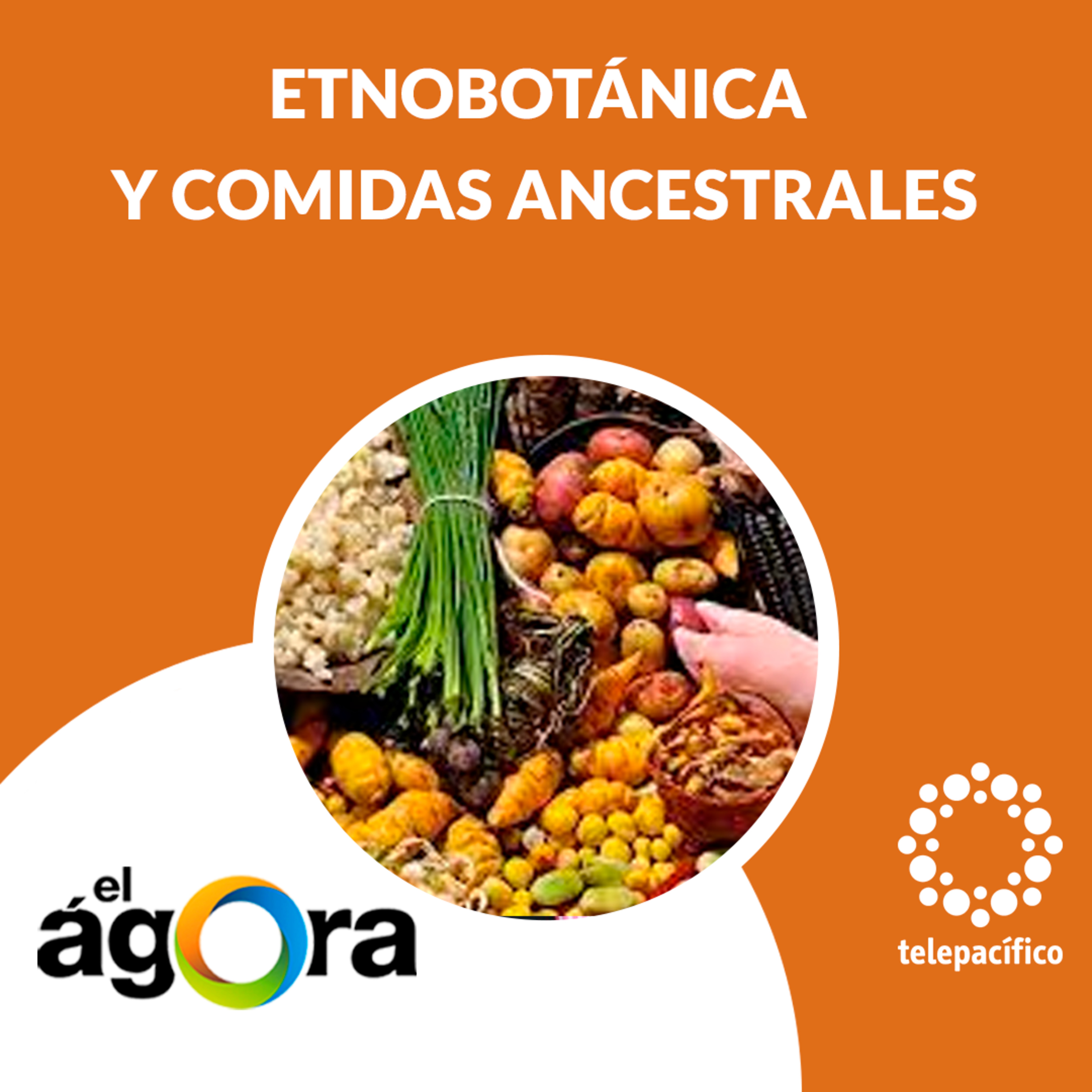 El Ágora Telepacífico