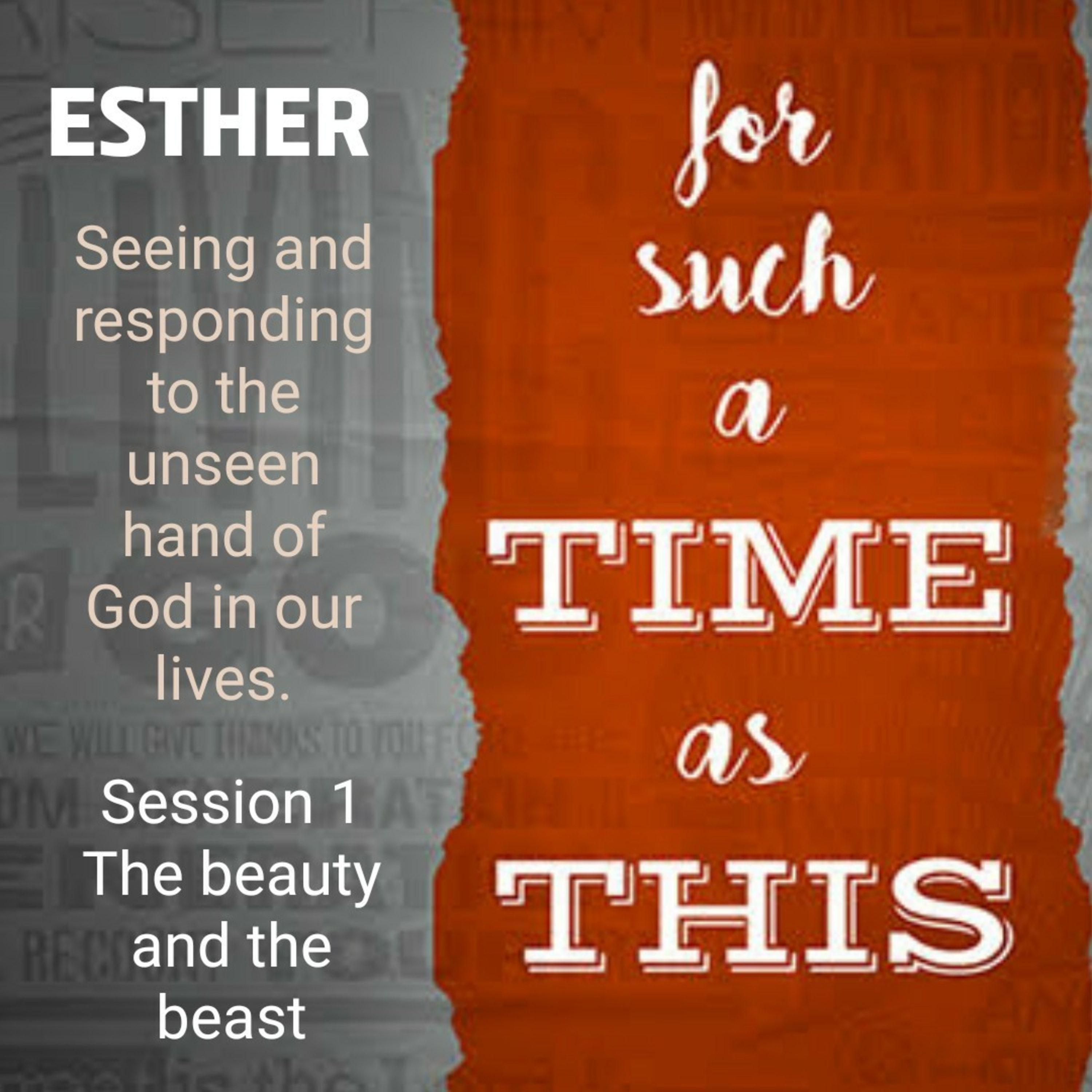 Esther Session 1: The beauty and the beast episode artwork