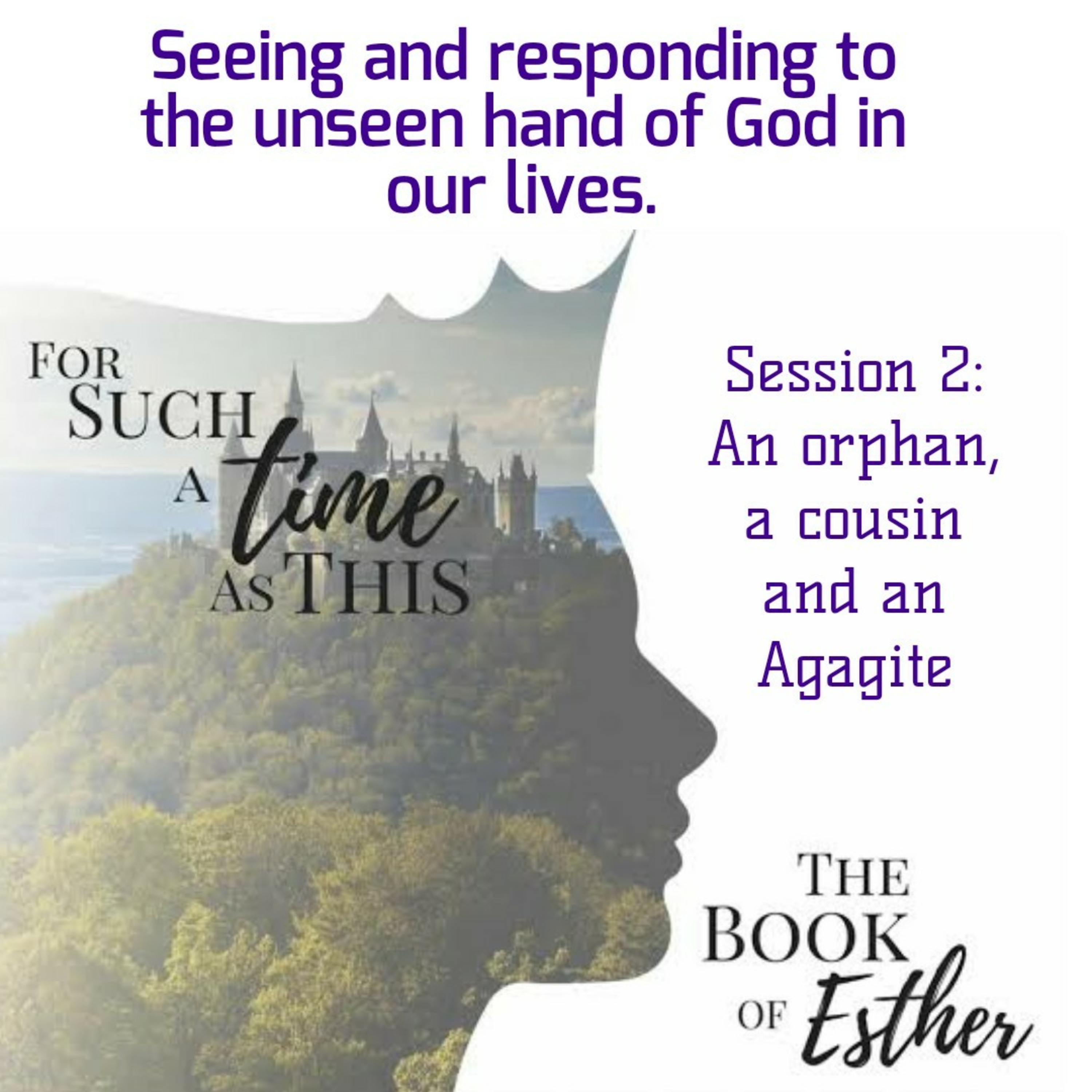 Esther Session 2: An orphan, a cousin and an Agagite. episode artwork