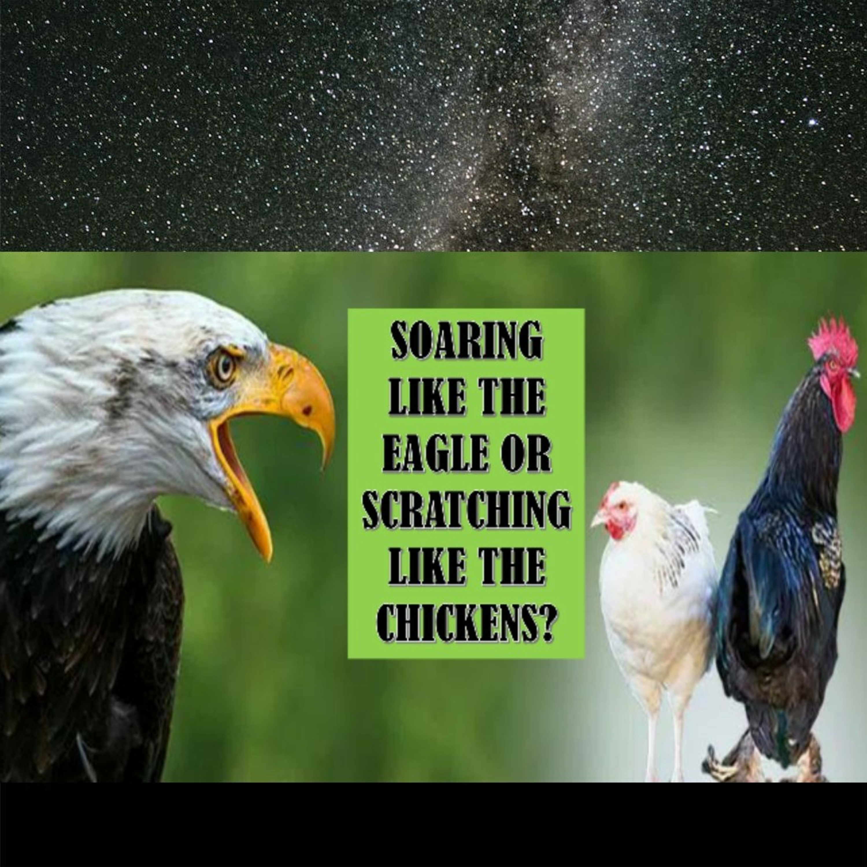 Soaring like the eagle or scratching like the chickens. episode artwork