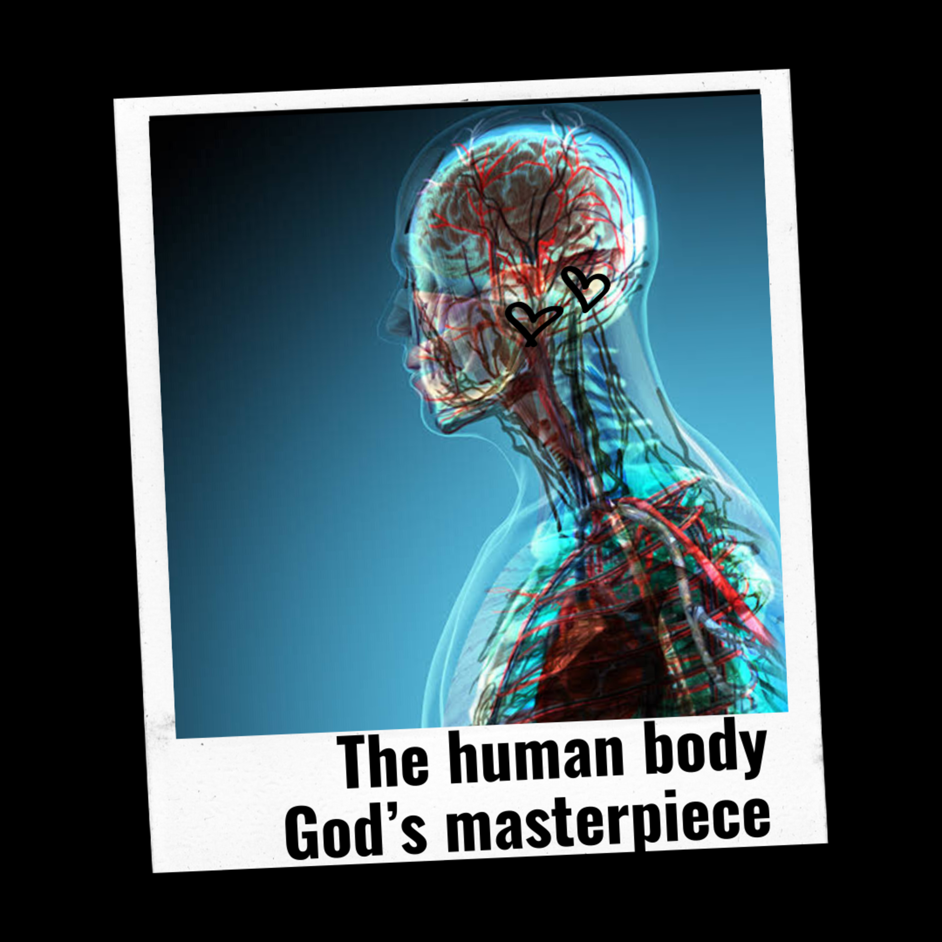 The human body - God's masterpiece episode artwork
