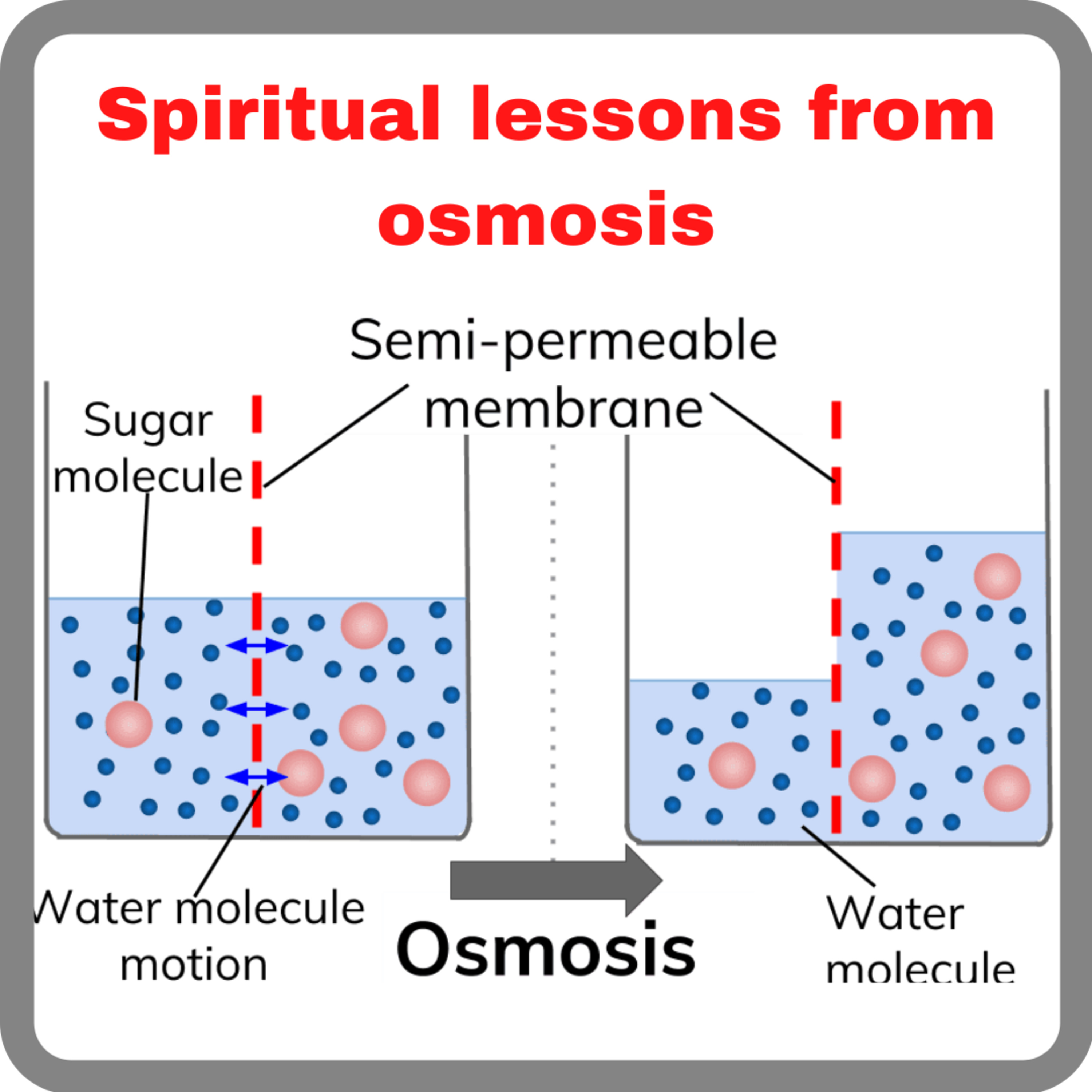 Spiritual lessons from osmosis episode artwork