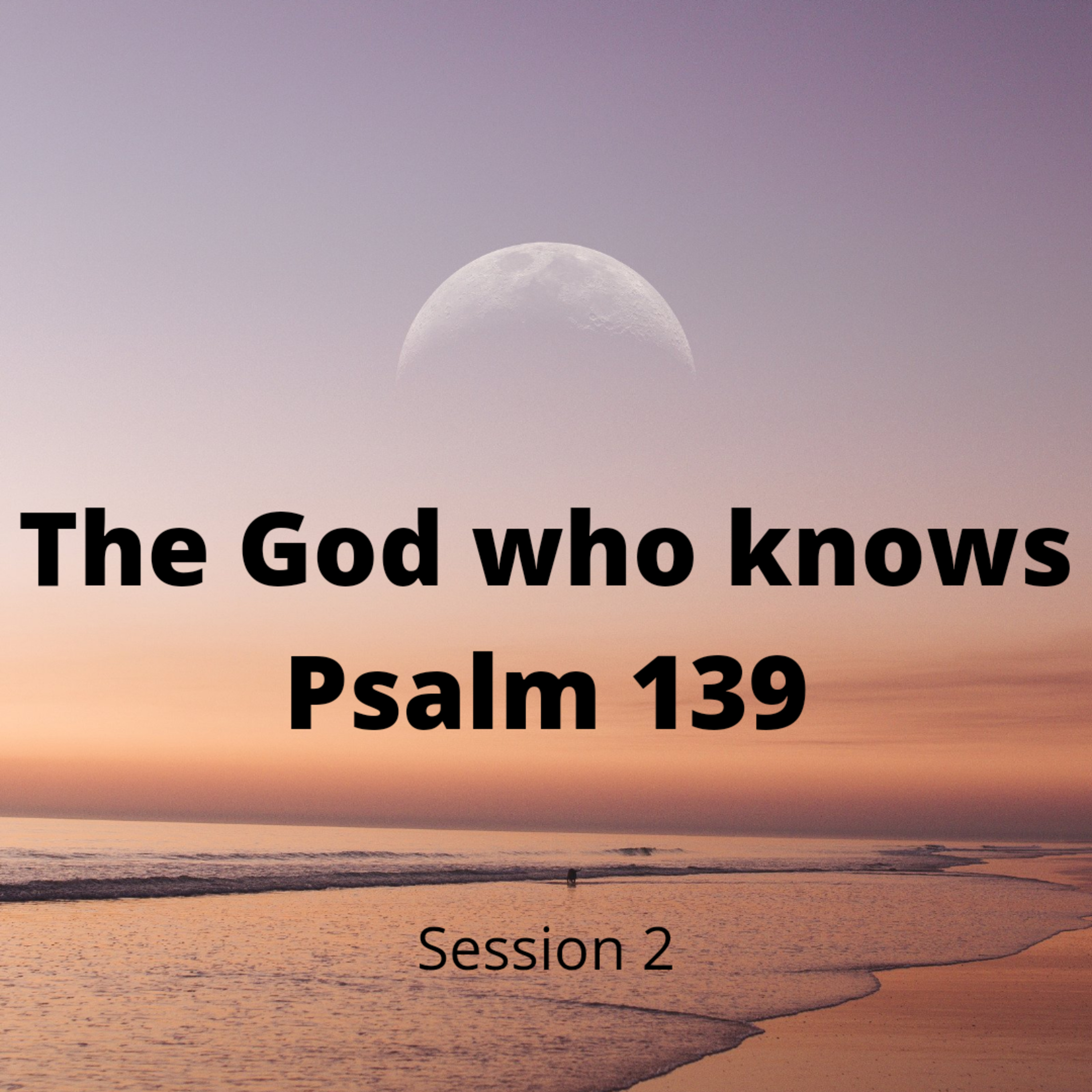 Psalm 139 Session 2 episode artwork