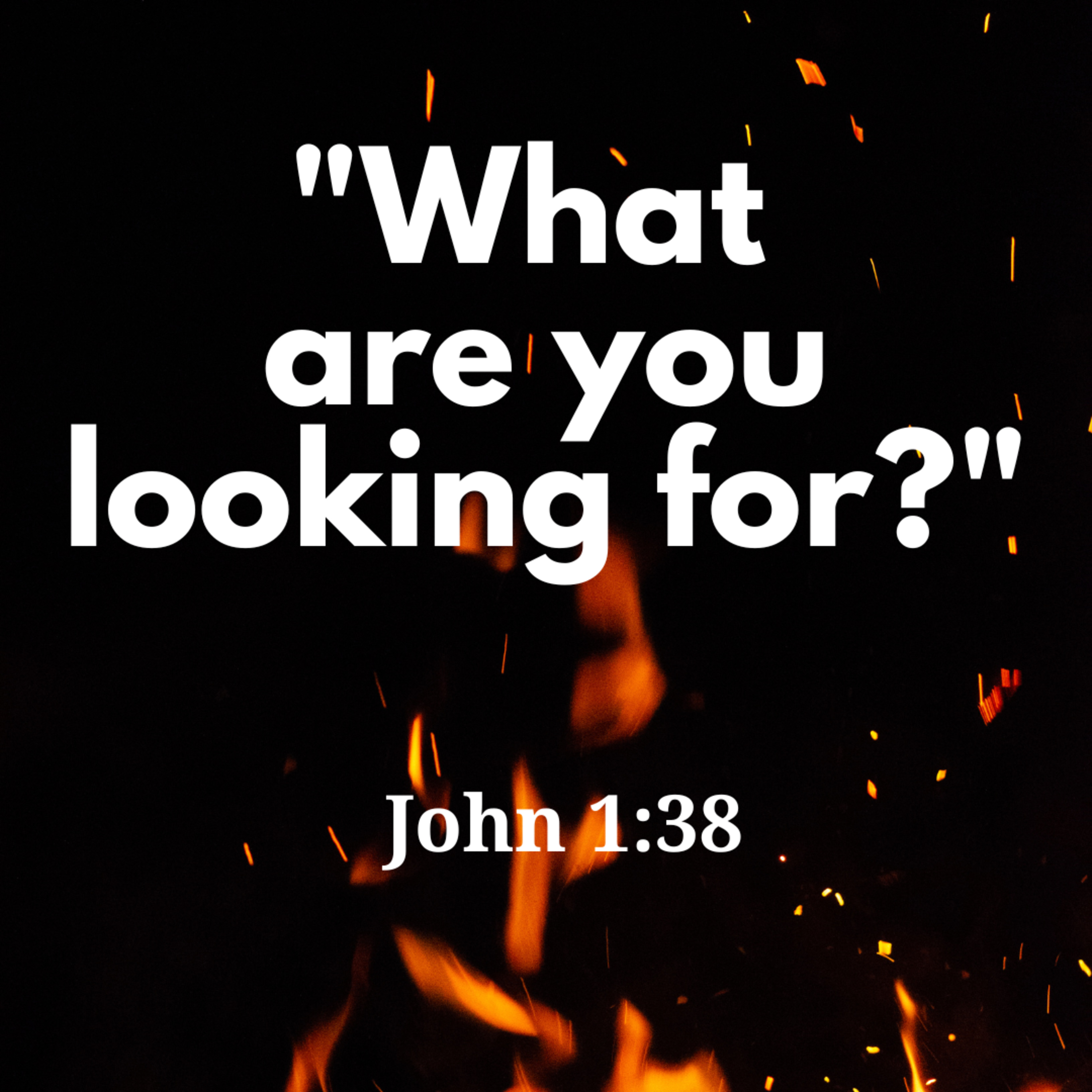 What are you looking for? episode artwork
