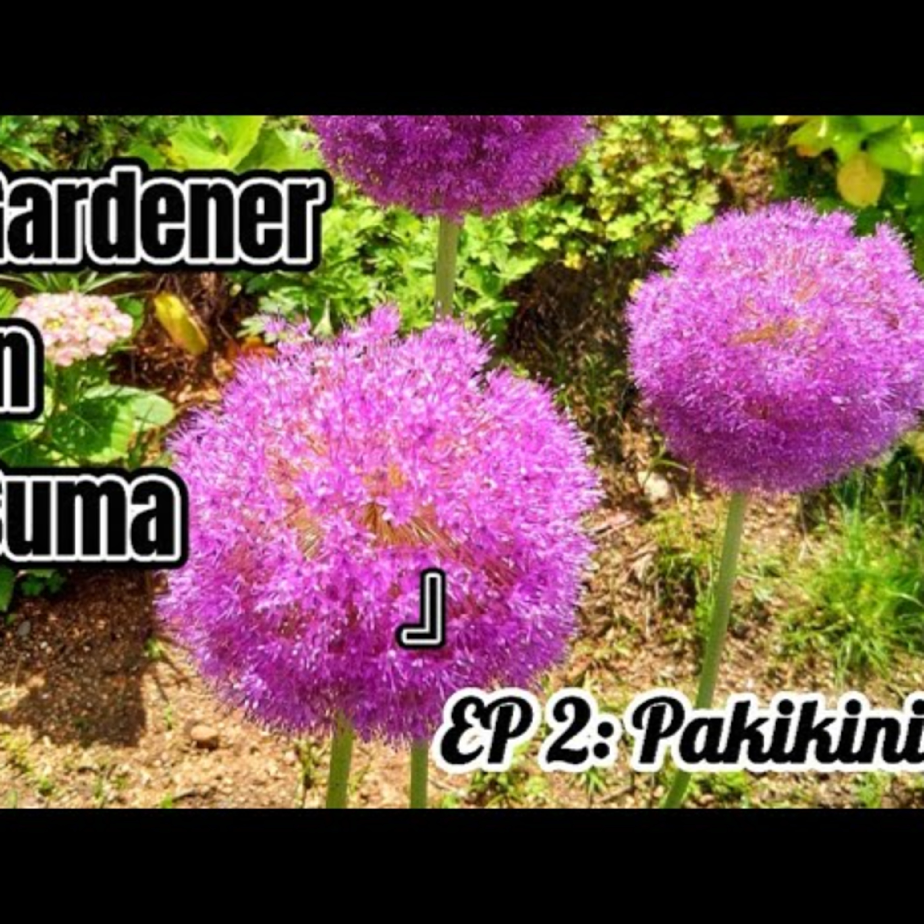 Gardener Of Suma