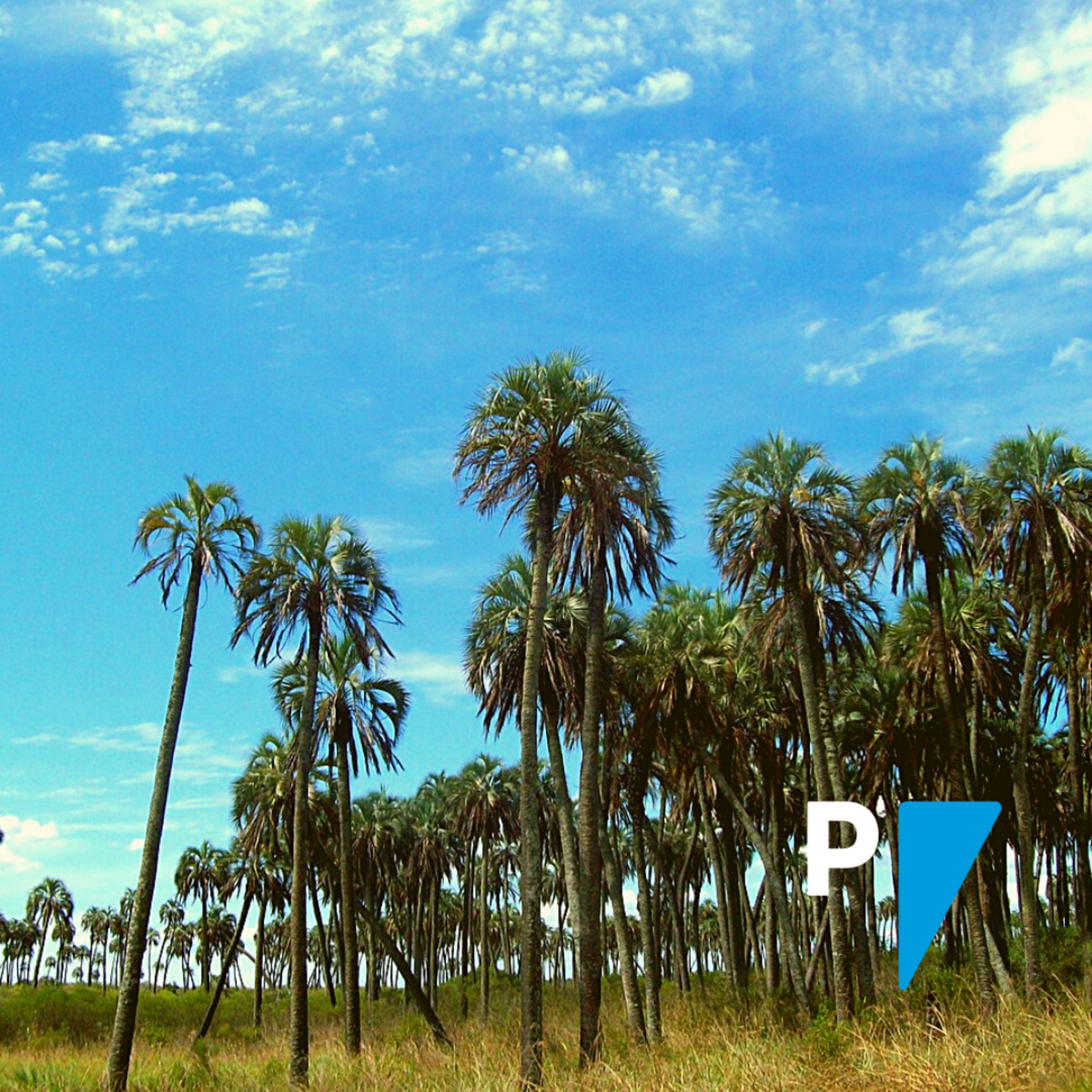 Portada de Portal Argentina