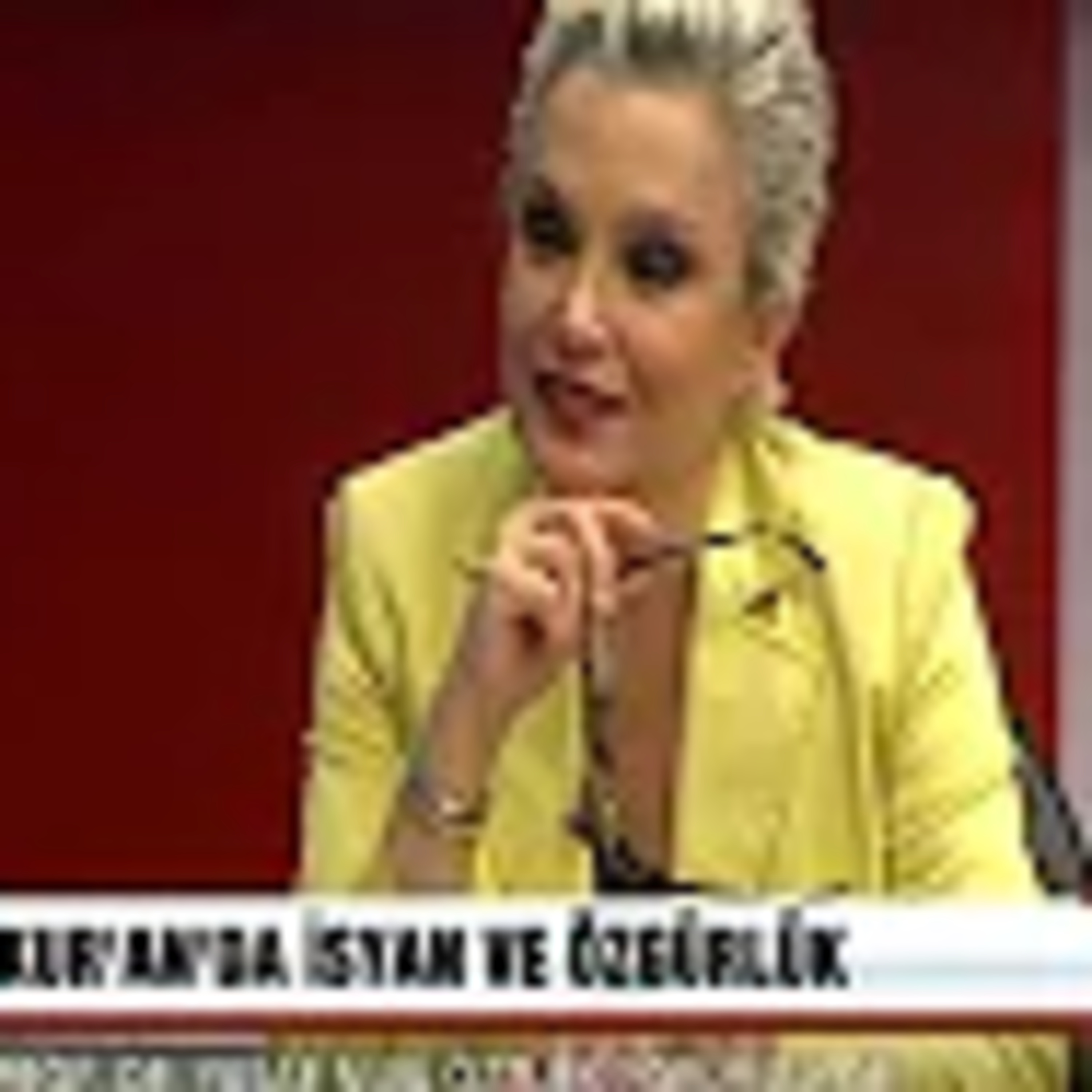 Söz ve Işık- 8 Kasım 2015- Prof. Dr. Yaşar Nuri Öztürk- Ulusal Kanal episode artwork