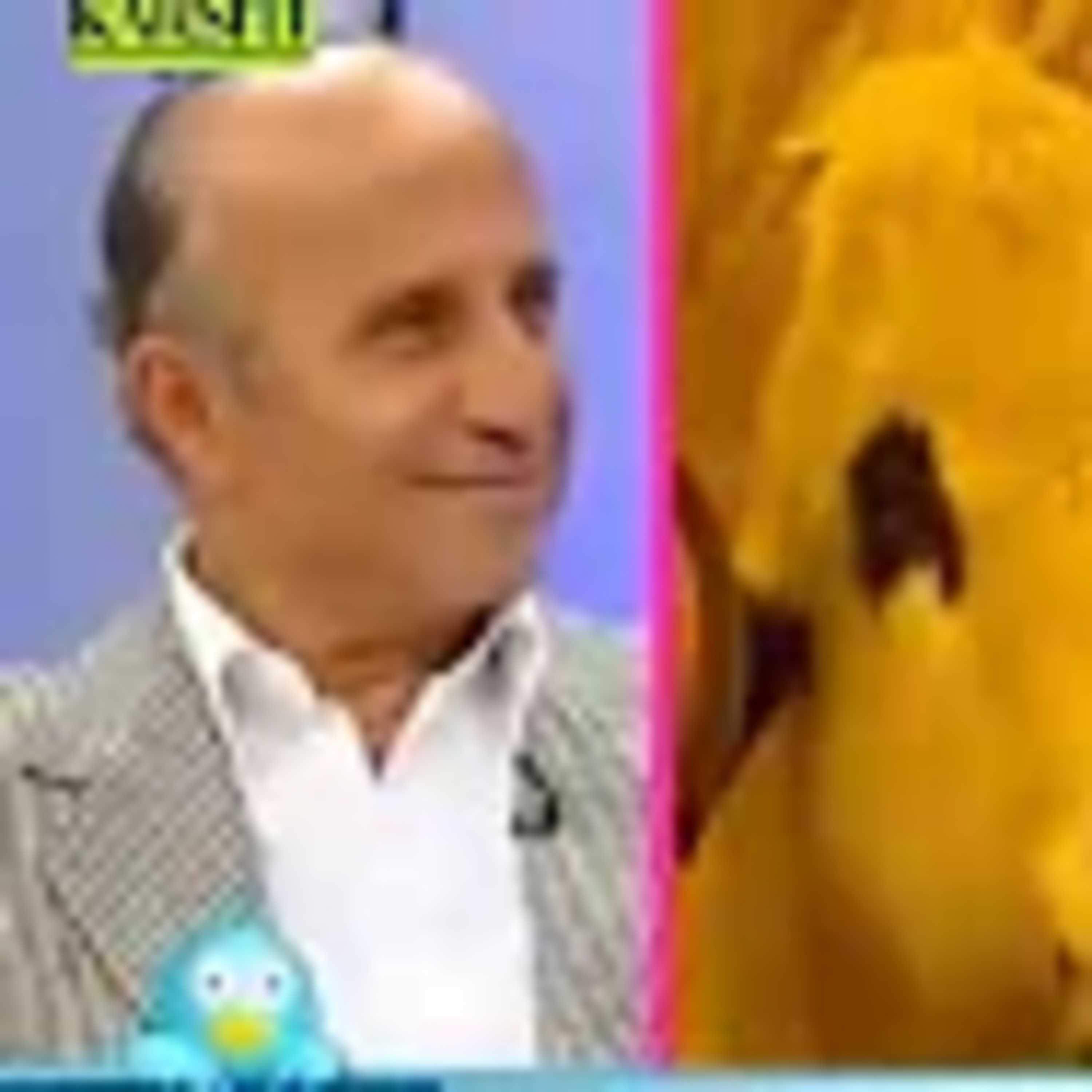 Yaşar Nuri Öztürk Saba Tümer ile Bugün 04.11.2011 episode artwork