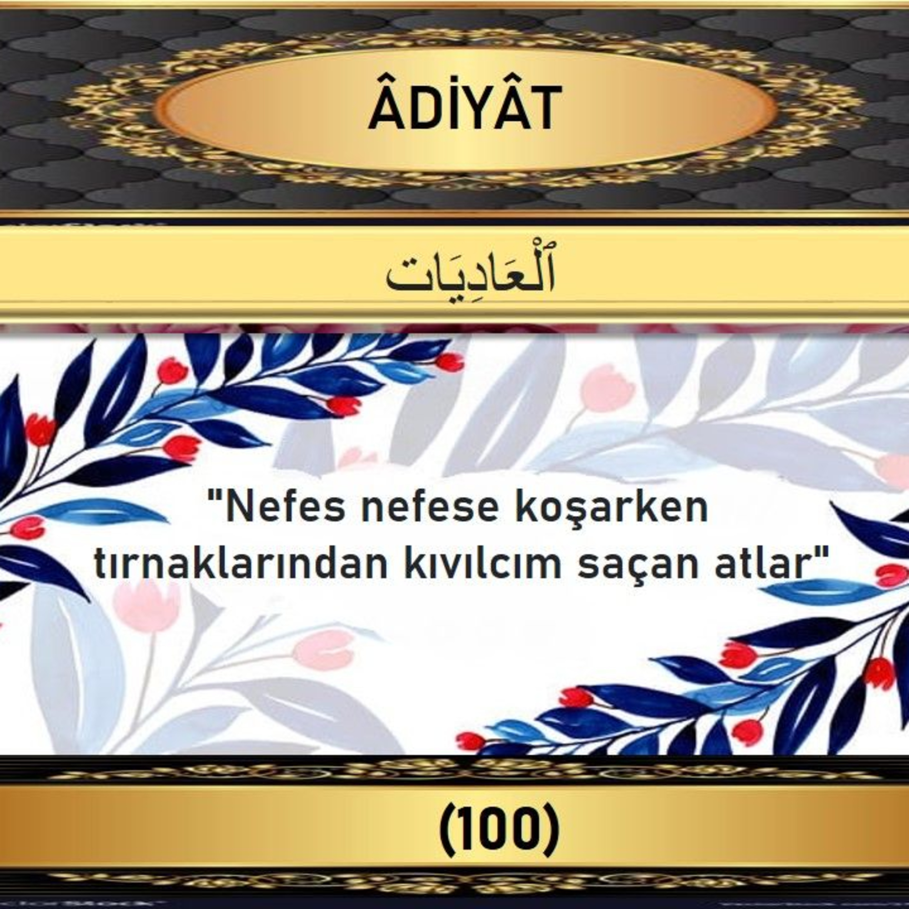 100. Adiyat Suresi - Yaşar Nuri Öztürk Sesi ve Meali ile (2001) episode artwork