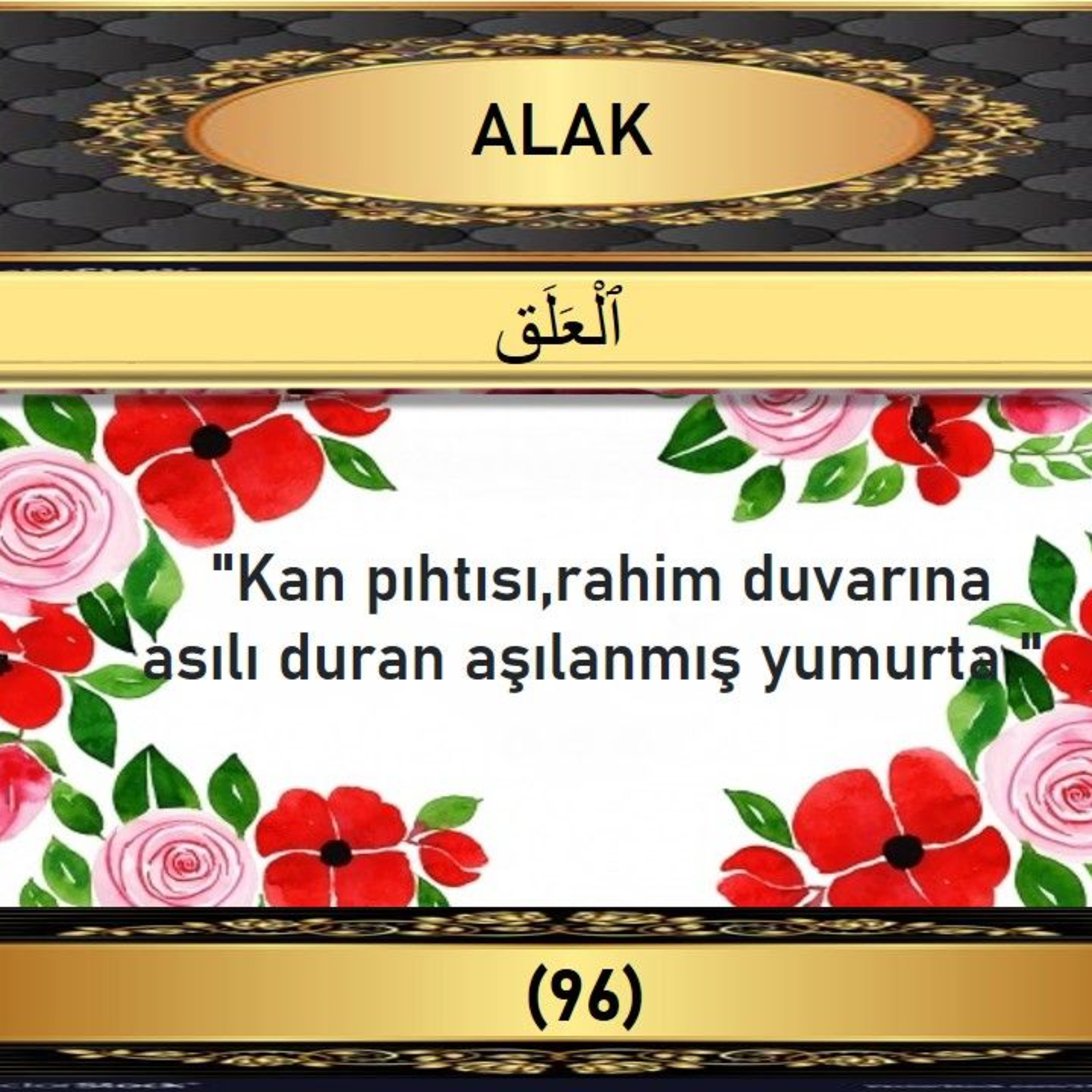 96. Alak Suresi - Yaşar Nuri Öztürk Sesi ve Meali ile (2001) episode artwork