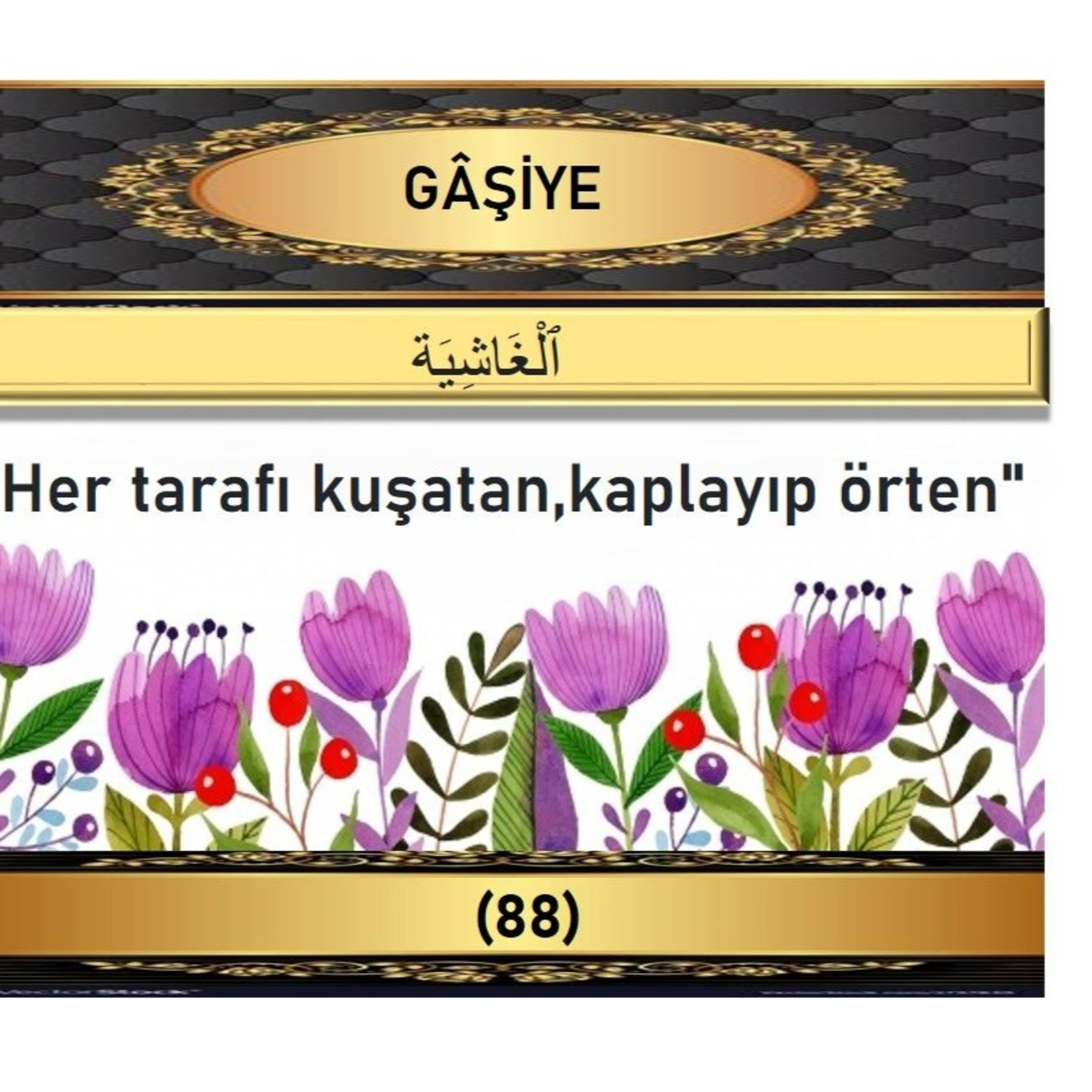 88. Gaşiye Suresi - Yaşar Nuri Öztürk Sesi ve Meali ile (2001) episode artwork