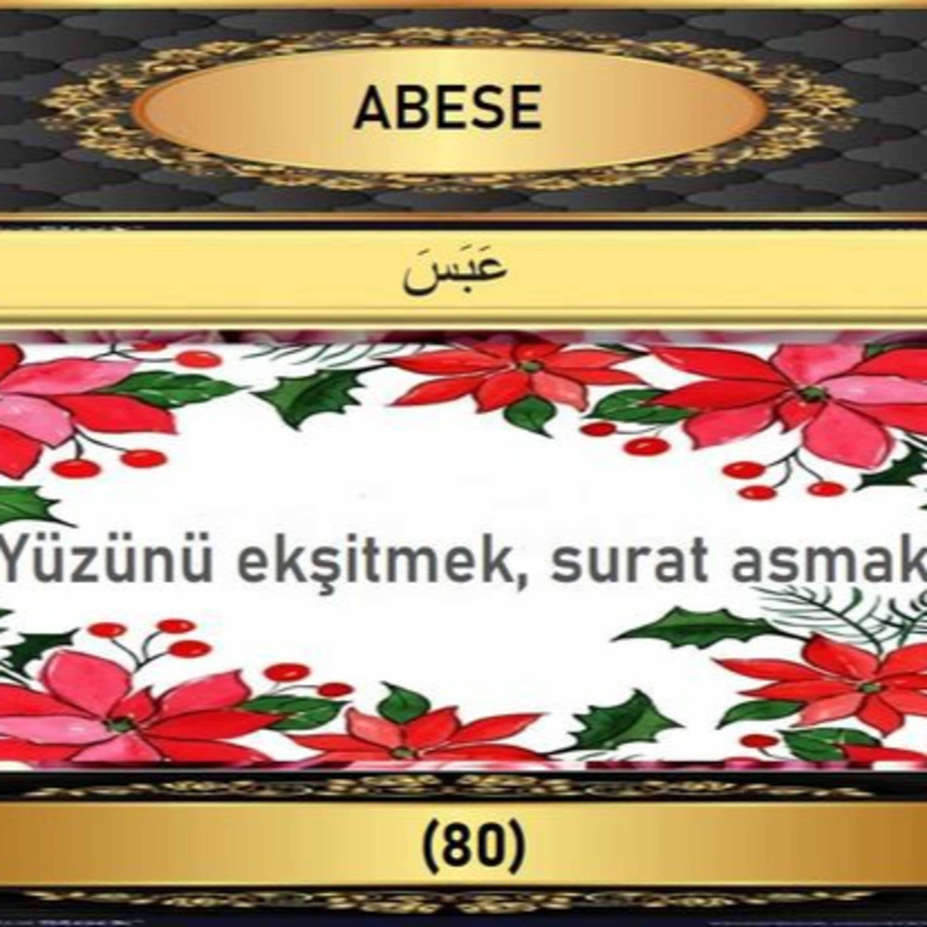 80. Abese Suresi - Yaşar Nuri Öztürk Sesi ve Meali ile (2001) episode artwork