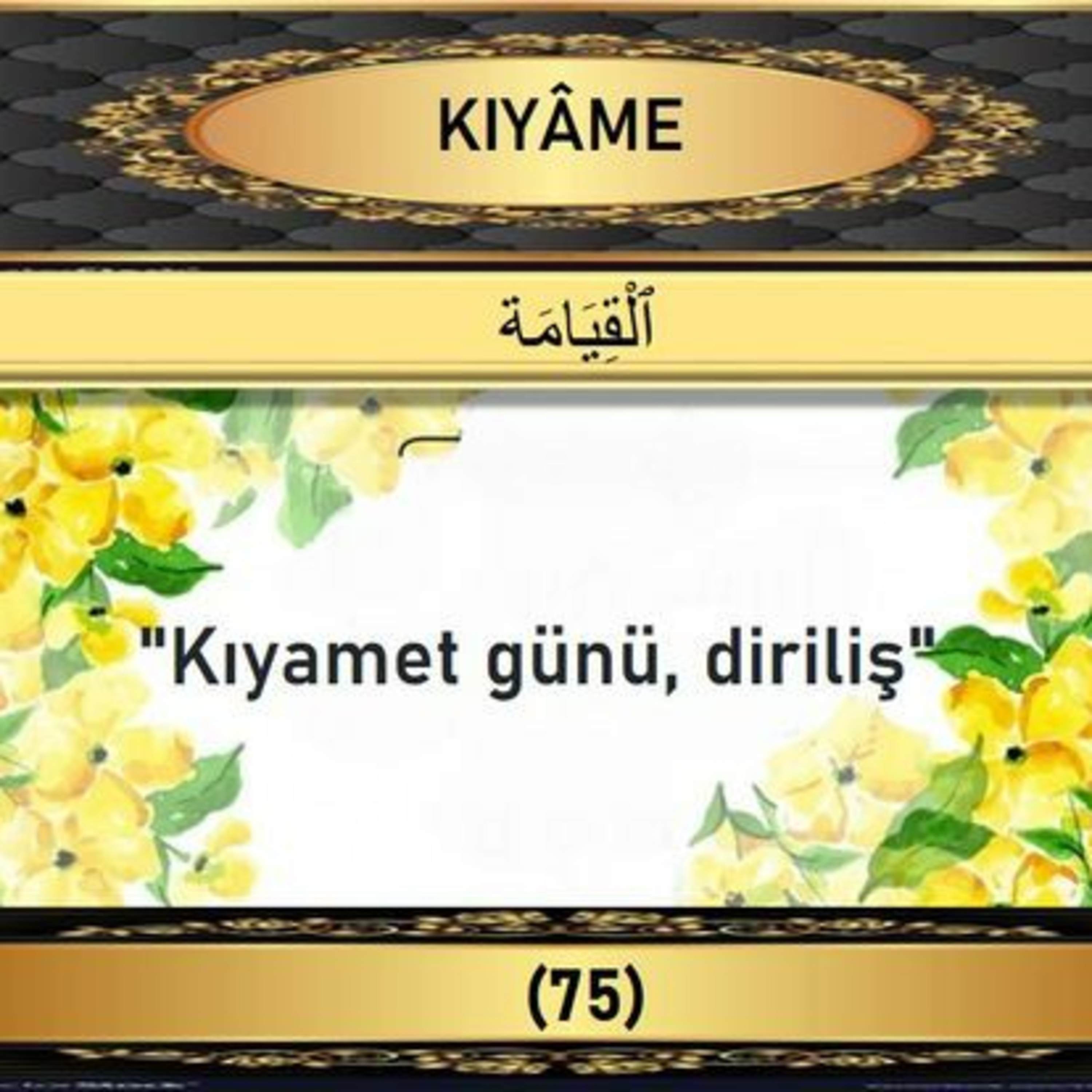 75. Kıyamet Suresi - Yaşar Nuri Öztürk Sesi ve Meali ile (2001) episode artwork