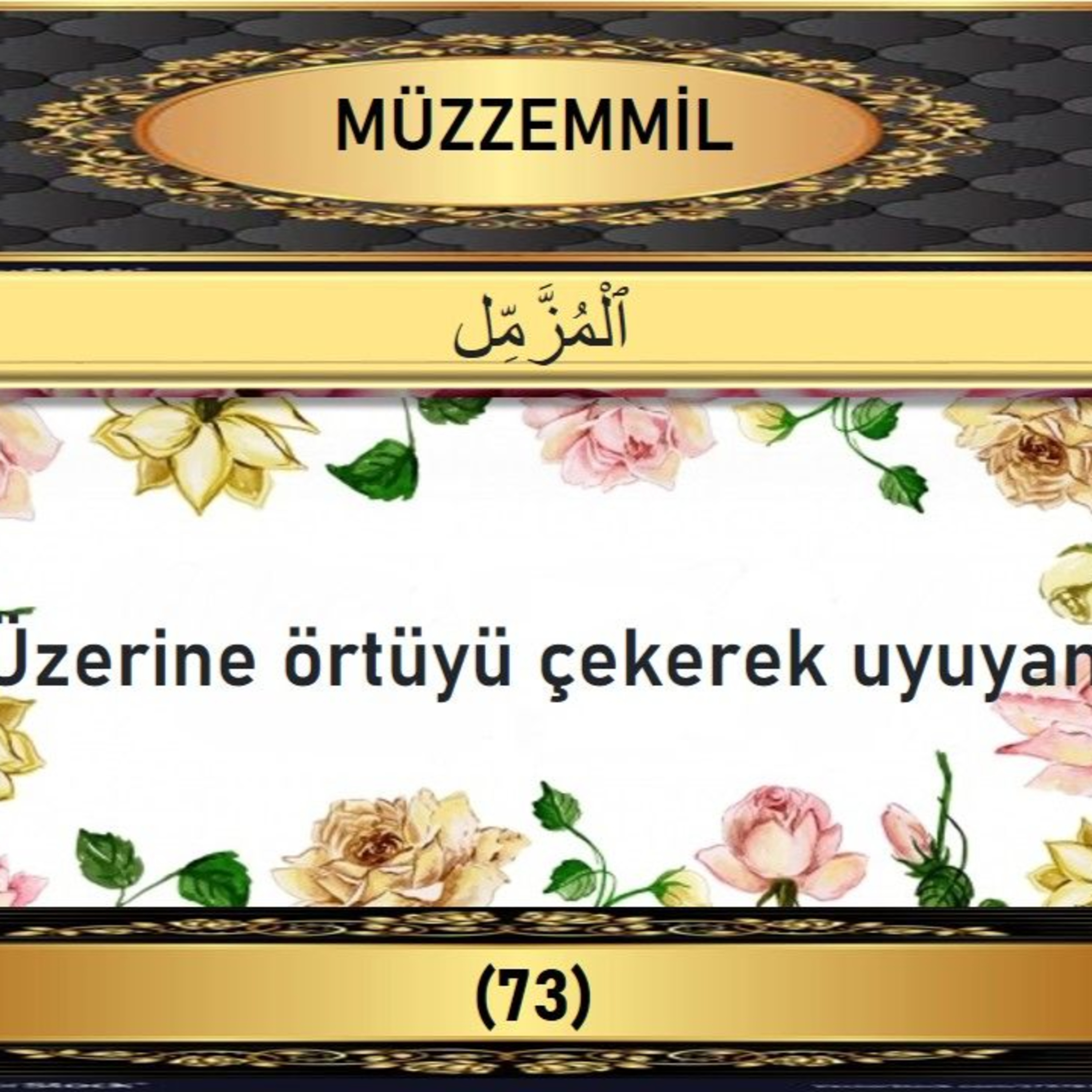 73. Müzzemmil Suresi - Yaşar Nuri Öztürk Sesi ve Meali ile (2001) episode artwork