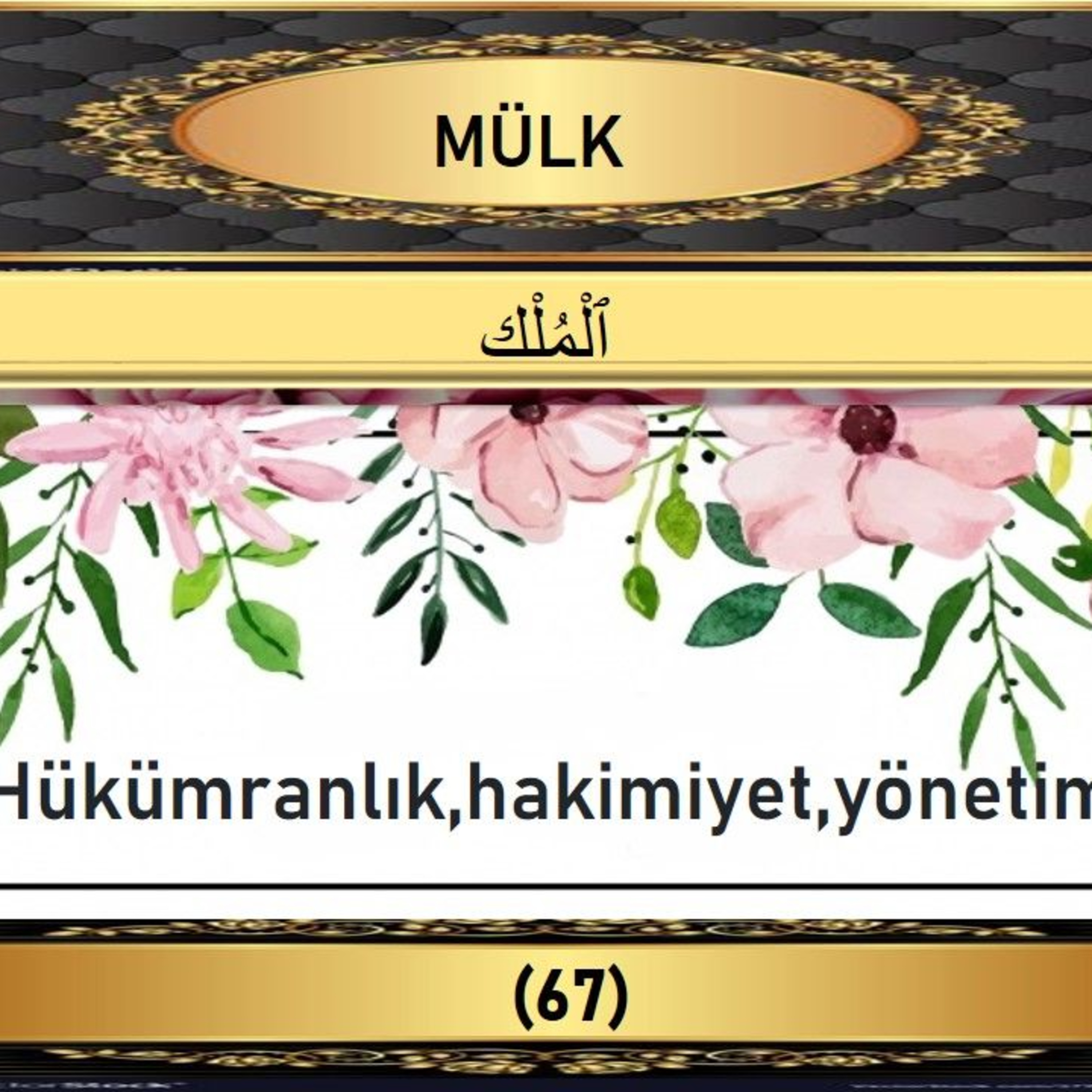 67. Mülk Suresi - Yaşar Nuri Öztürk Sesi ve Meali ile (2001) episode artwork