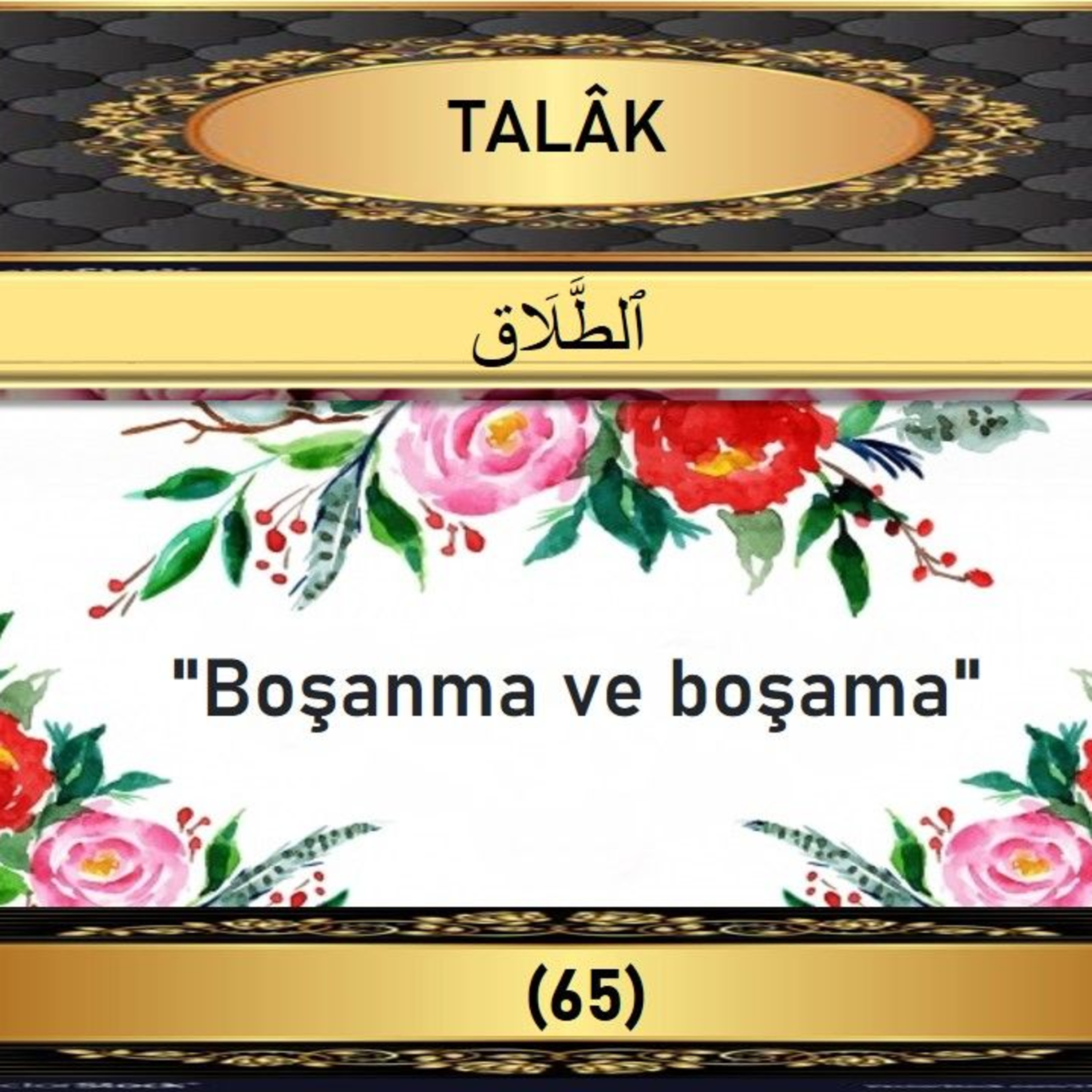 65. Talak Suresi - Yaşar Nuri Öztürk Sesi ve Meali ile (2001) episode artwork