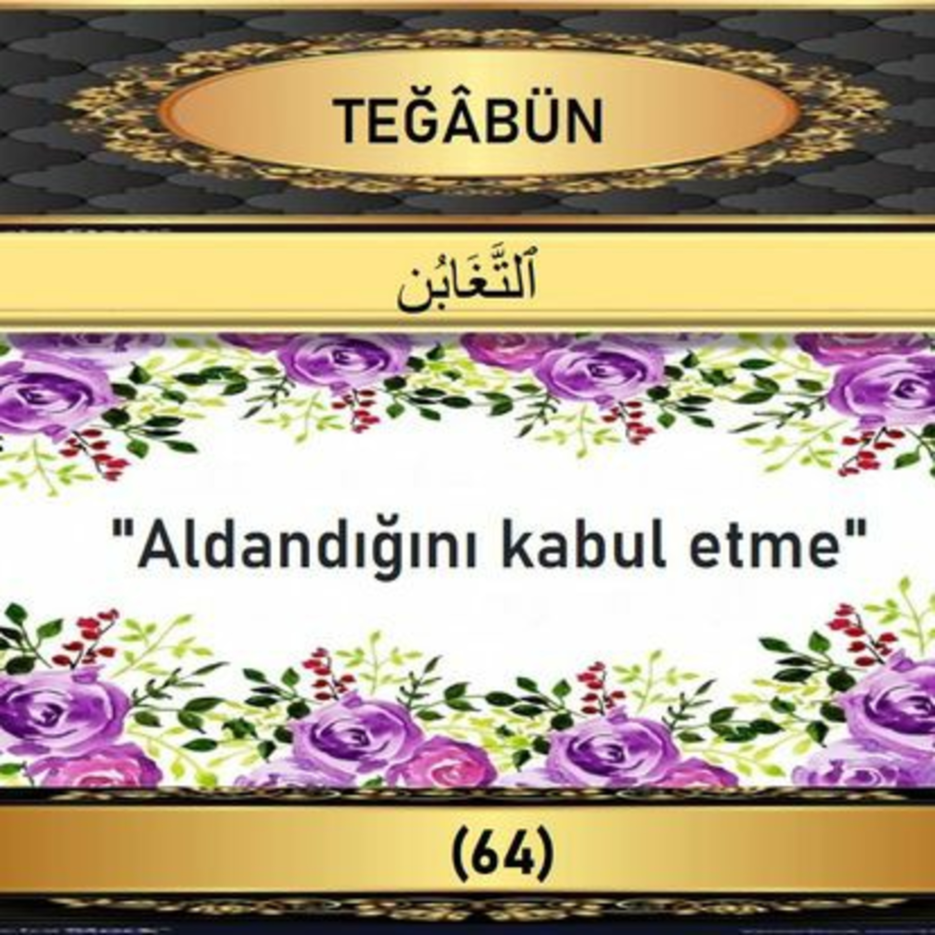 64. Tegabün Suresi - Yaşar Nuri Öztürk Sesi ve Meali ile (2001) episode artwork