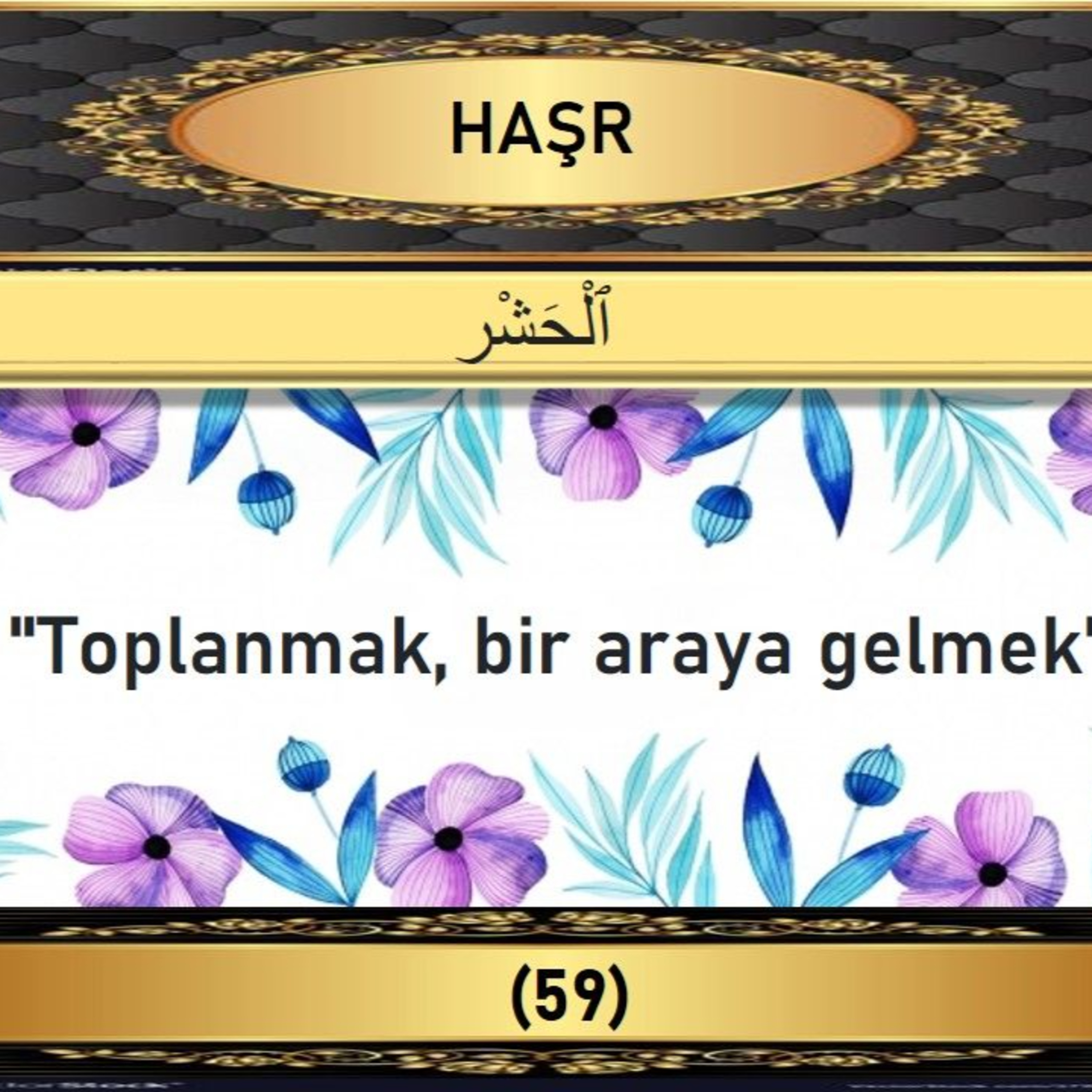 59. Haşr Suresi - Yaşar Nuri Öztürk Sesi ve Meali ile (2001) episode artwork