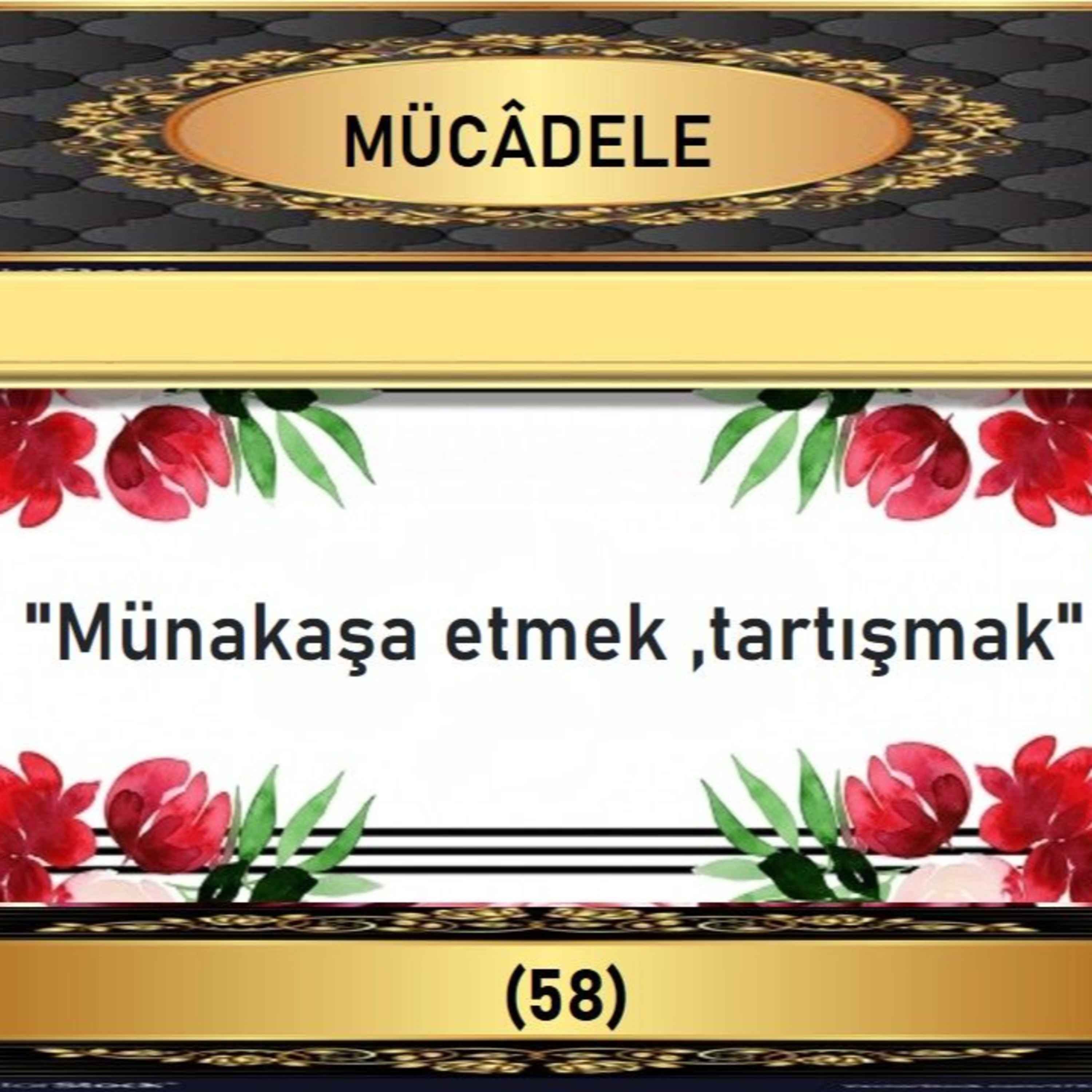 58. Mücadile Suresi - Yaşar Nuri Öztürk Sesi ve Meali ile (2001) episode artwork