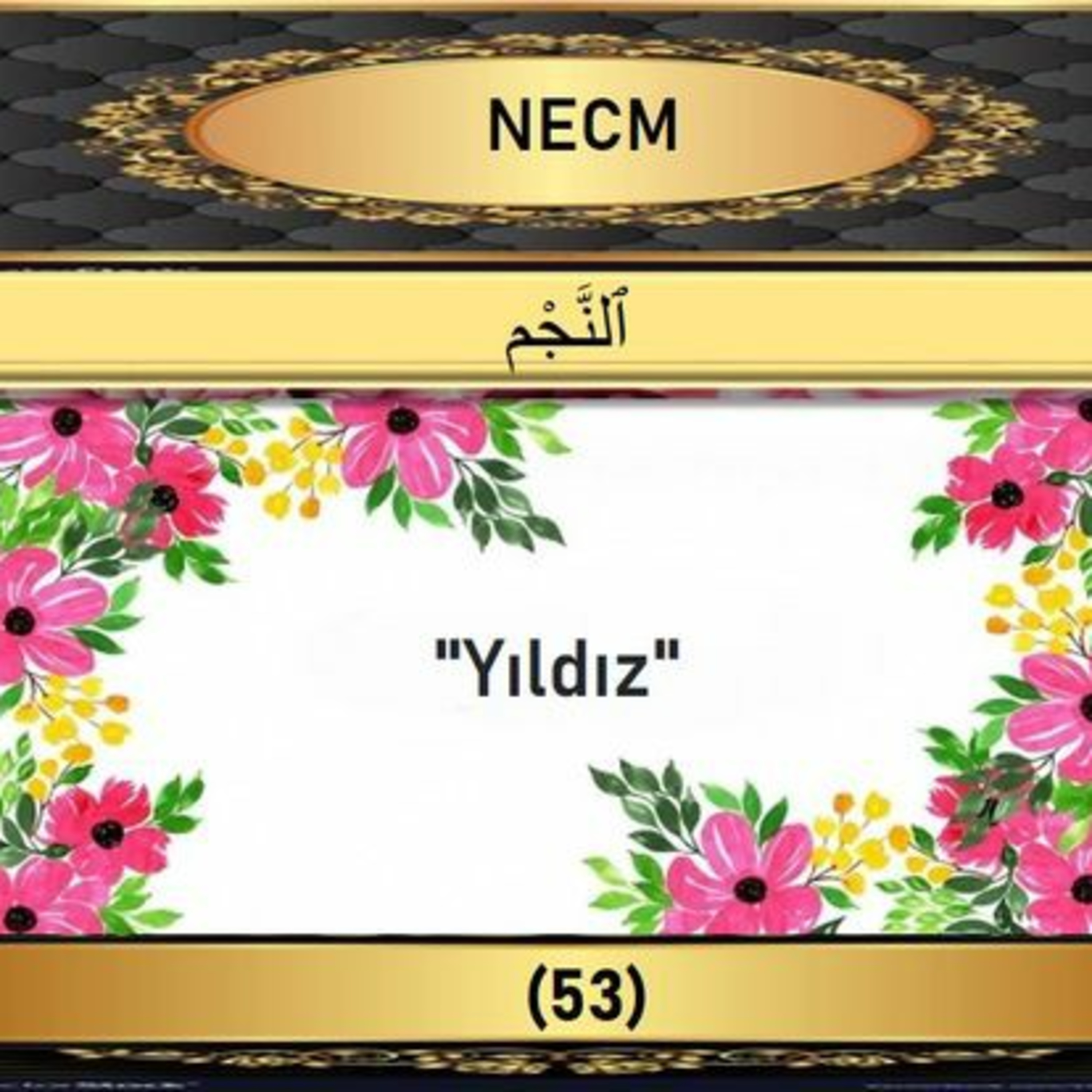 53. Necm Suresi - Yaşar Nuri Öztürk Sesi ve Meali ile (2001) episode artwork