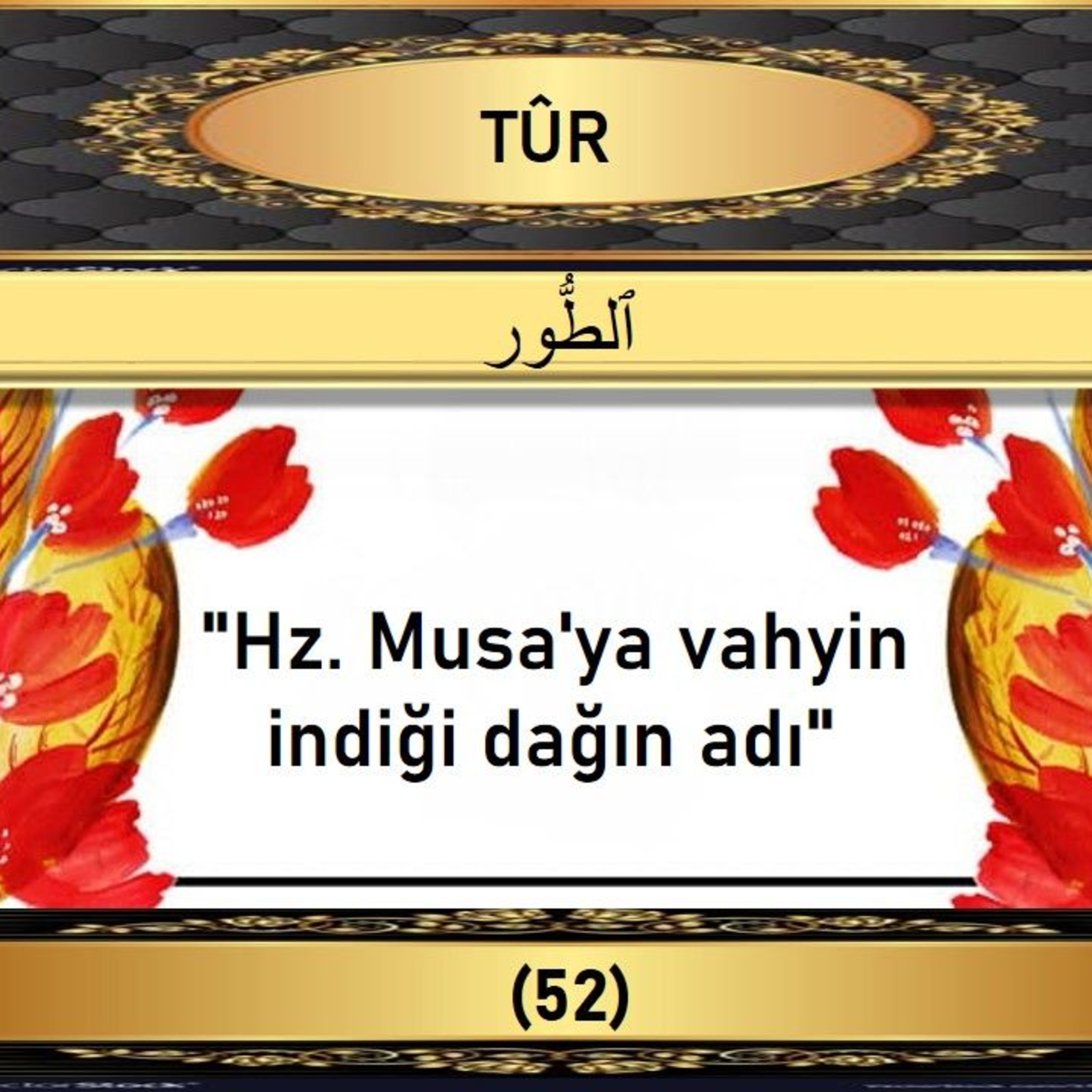 52. Tur Suresi - Yaşar Nuri Öztürk Sesi ve Meali ile (2001) episode artwork
