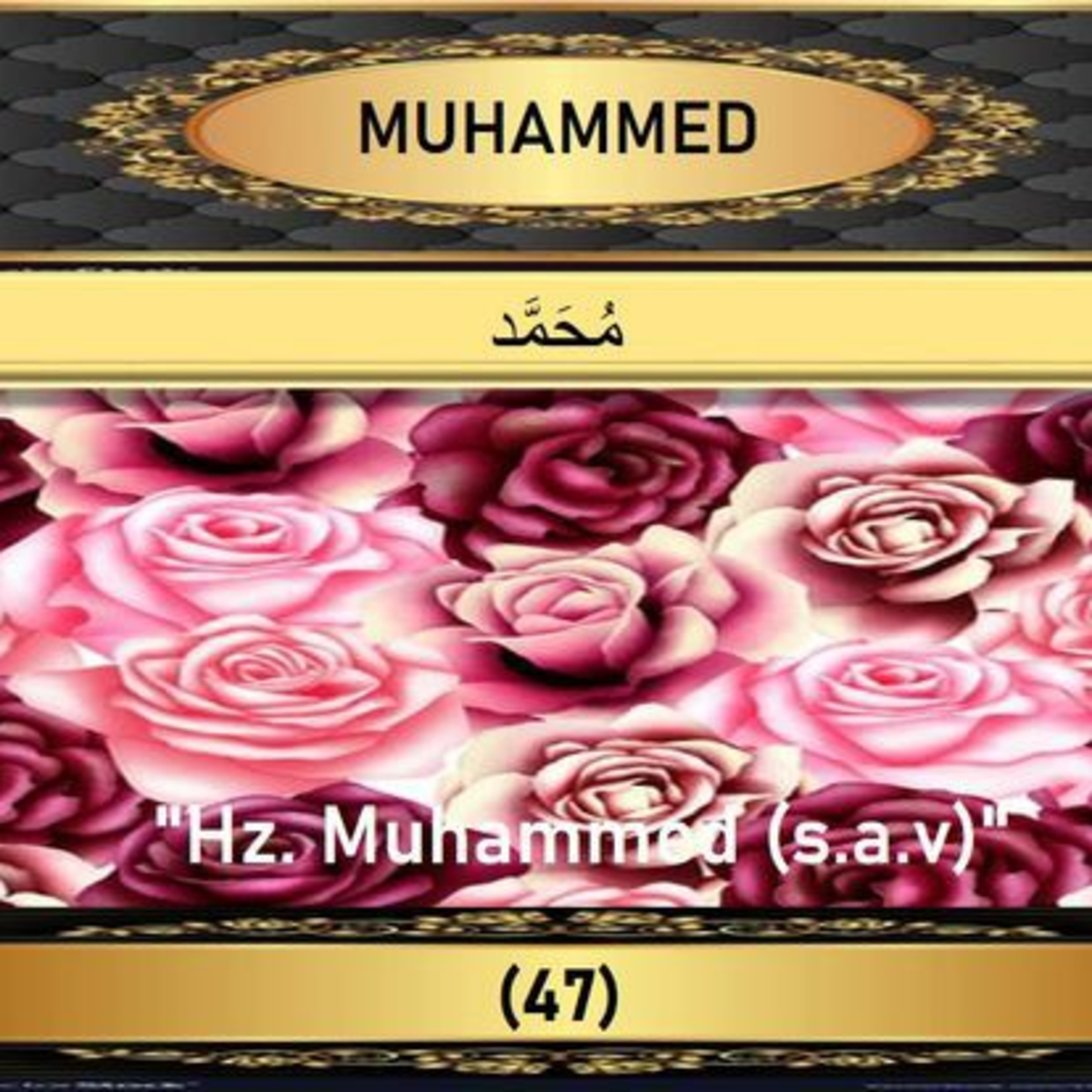 47. Muhammed Suresi - Yaşar Nuri Öztürk Sesi ve Meali ile (2001) episode artwork