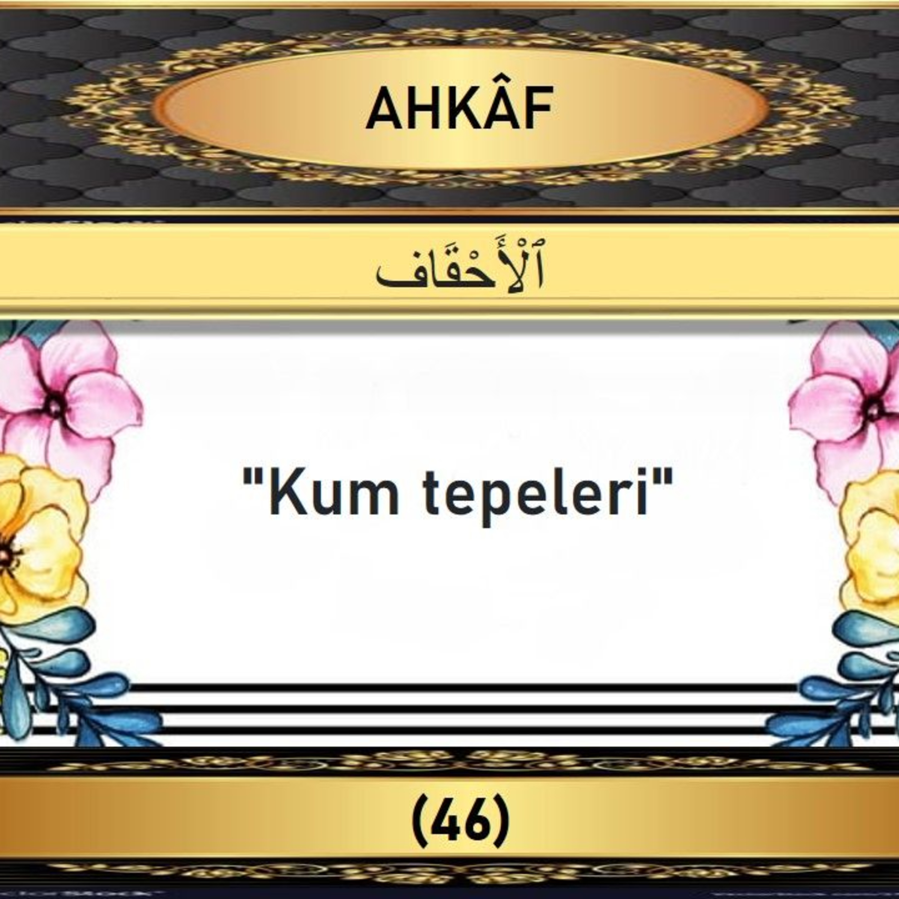 46. Ahkaf Suresi - Yaşar Nuri Öztürk Sesi ve Meali ile (2001) episode artwork