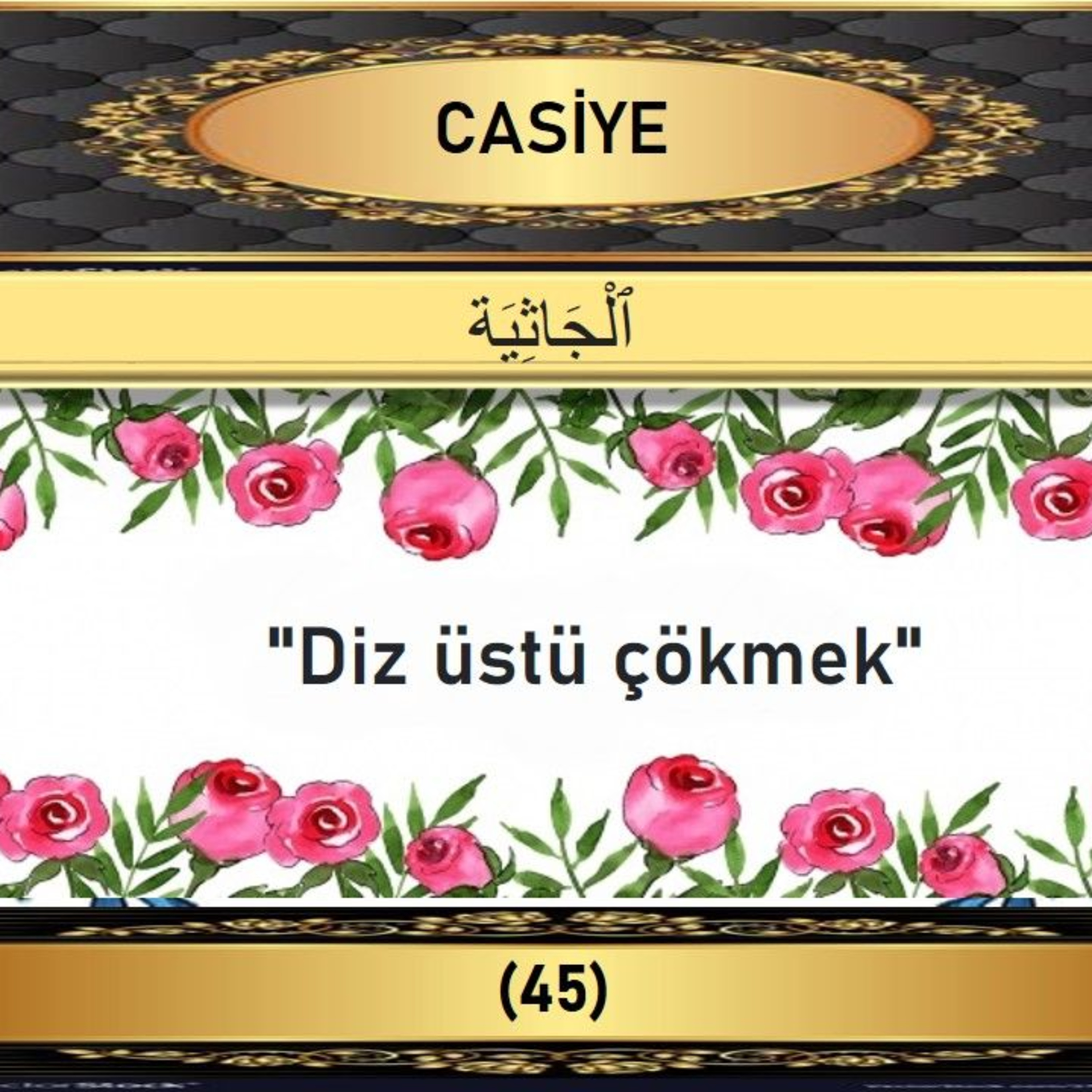 45. Casiye Suresi - Yaşar Nuri Öztürk Sesi ve Meali ile (2001) episode artwork