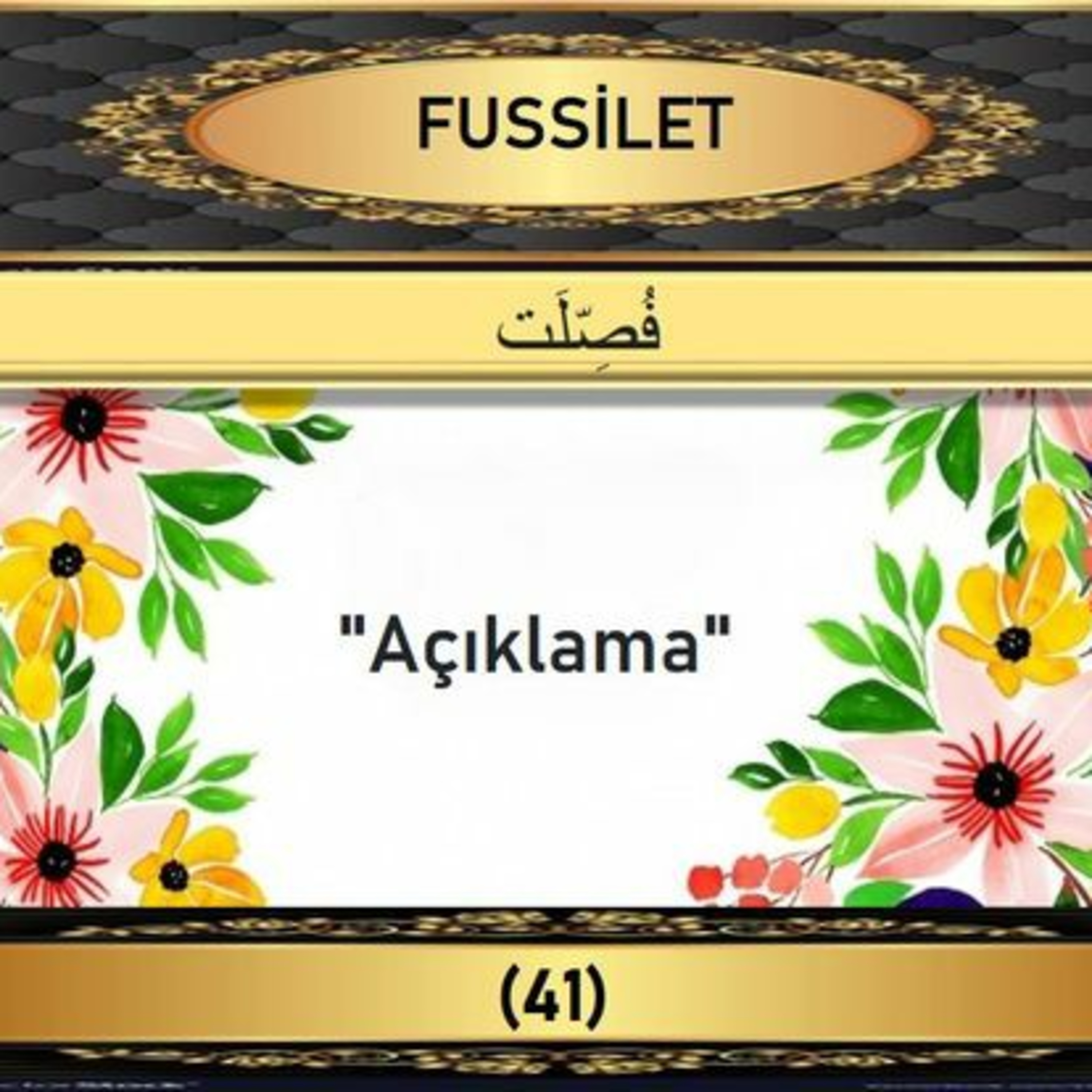 41. Fussilet Suresi - Yaşar Nuri Öztürk Sesi ve Meali ile (2001) episode artwork