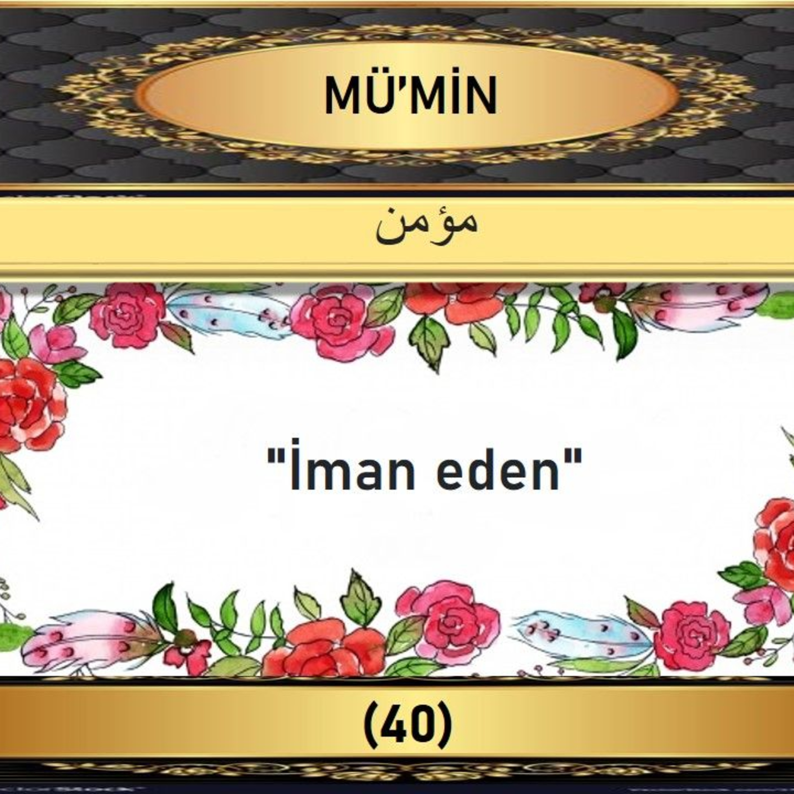 40. Mümin Suresi - Yaşar Nuri Öztürk Sesi ve Meali ile (2001) episode artwork