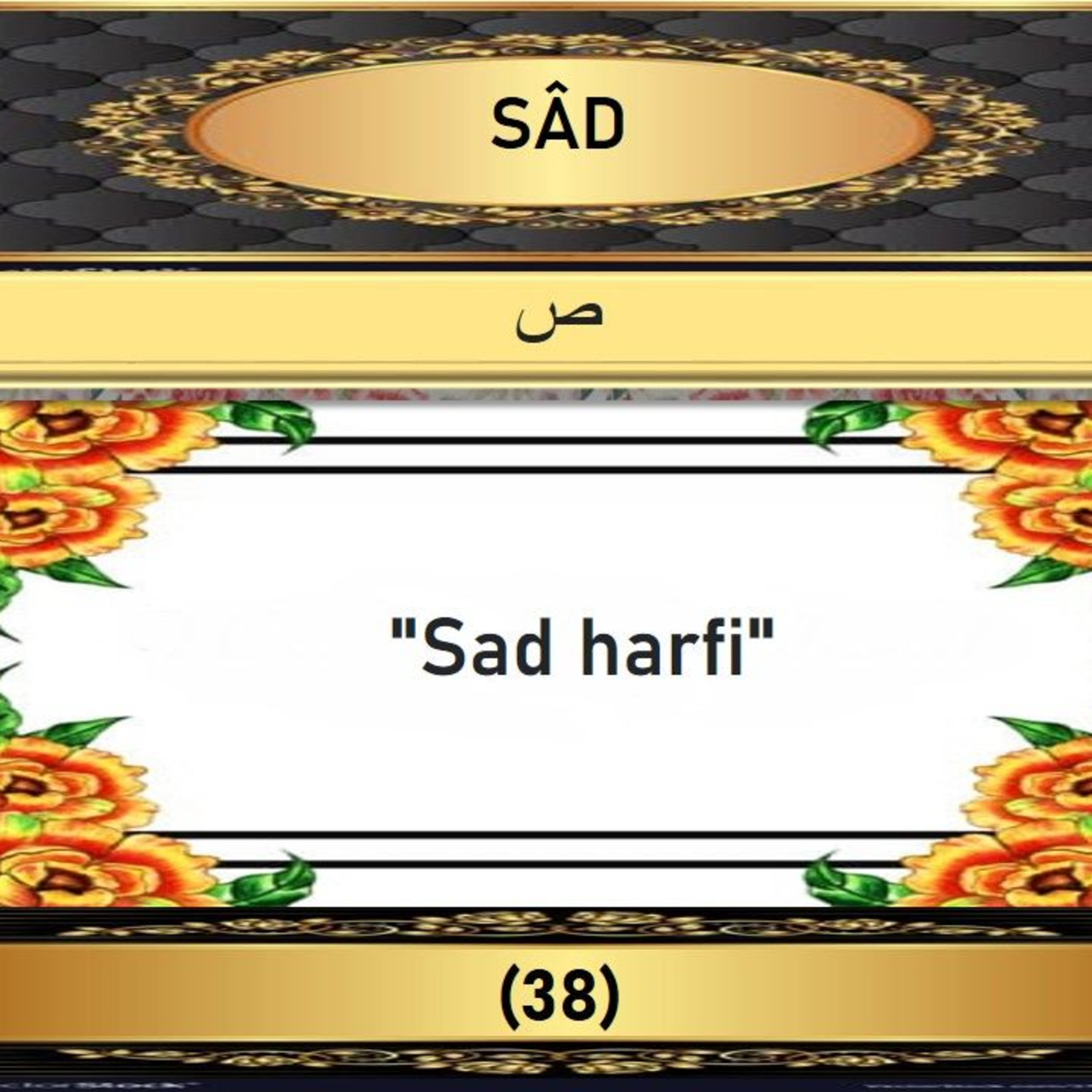 38. Sad Suresi - Yaşar Nuri Öztürk Sesi ve Meali ile (2001) episode artwork
