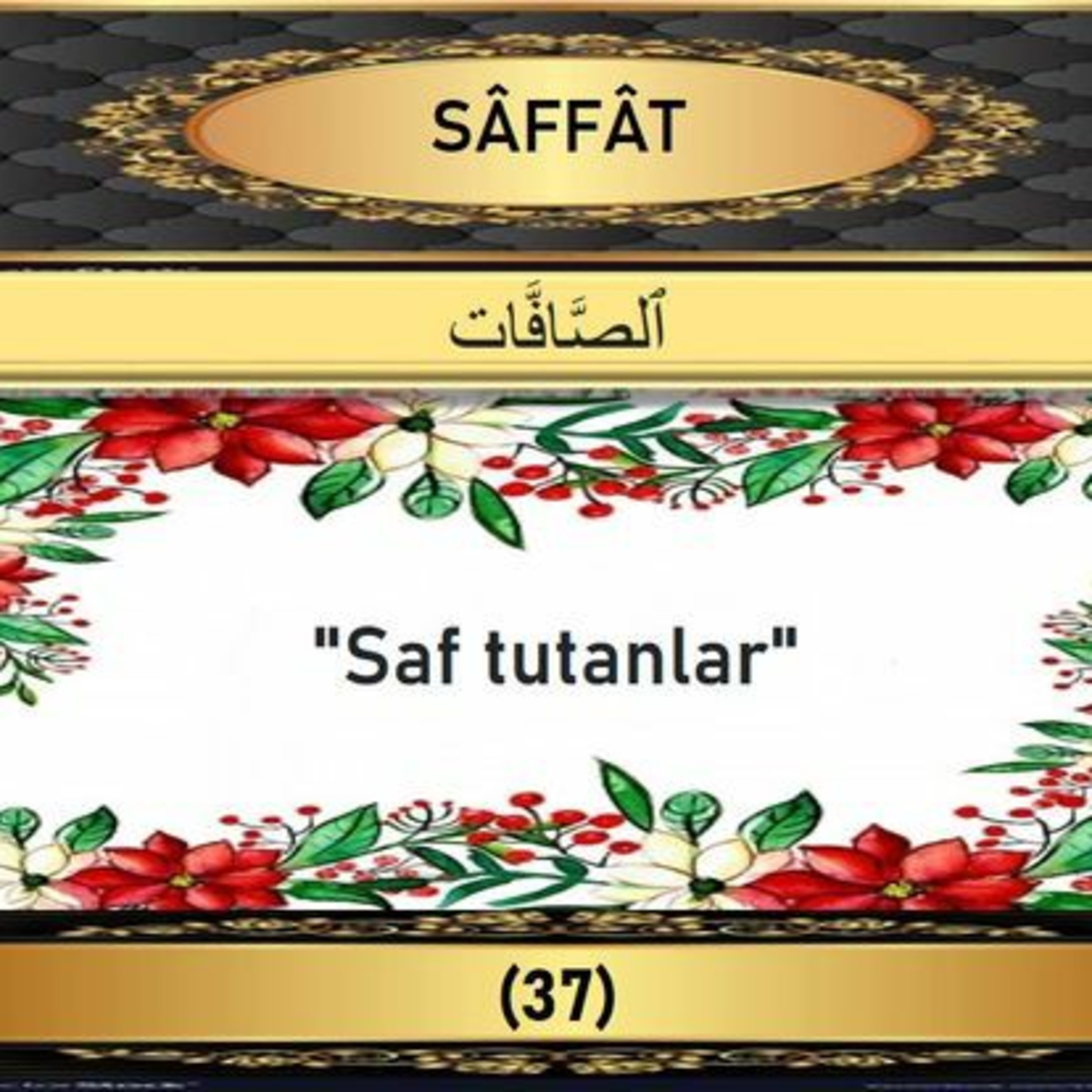 37. Saffat Suresi - Yaşar Nuri Öztürk Sesi ve Meali ile (2001) episode artwork