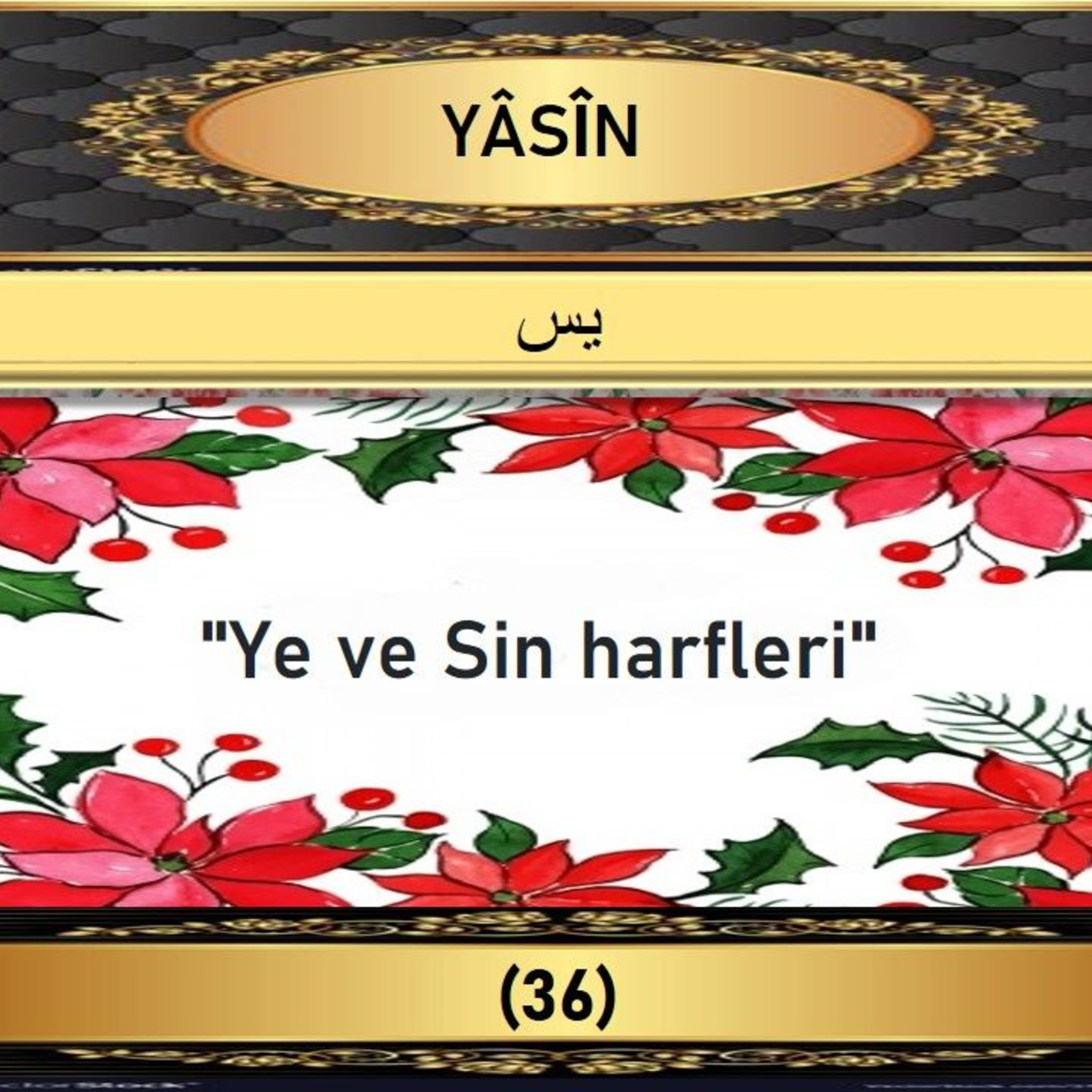 36. Yasin Suresi - Yaşar Nuri Öztürk Sesi ve Meali ile (2001) episode artwork