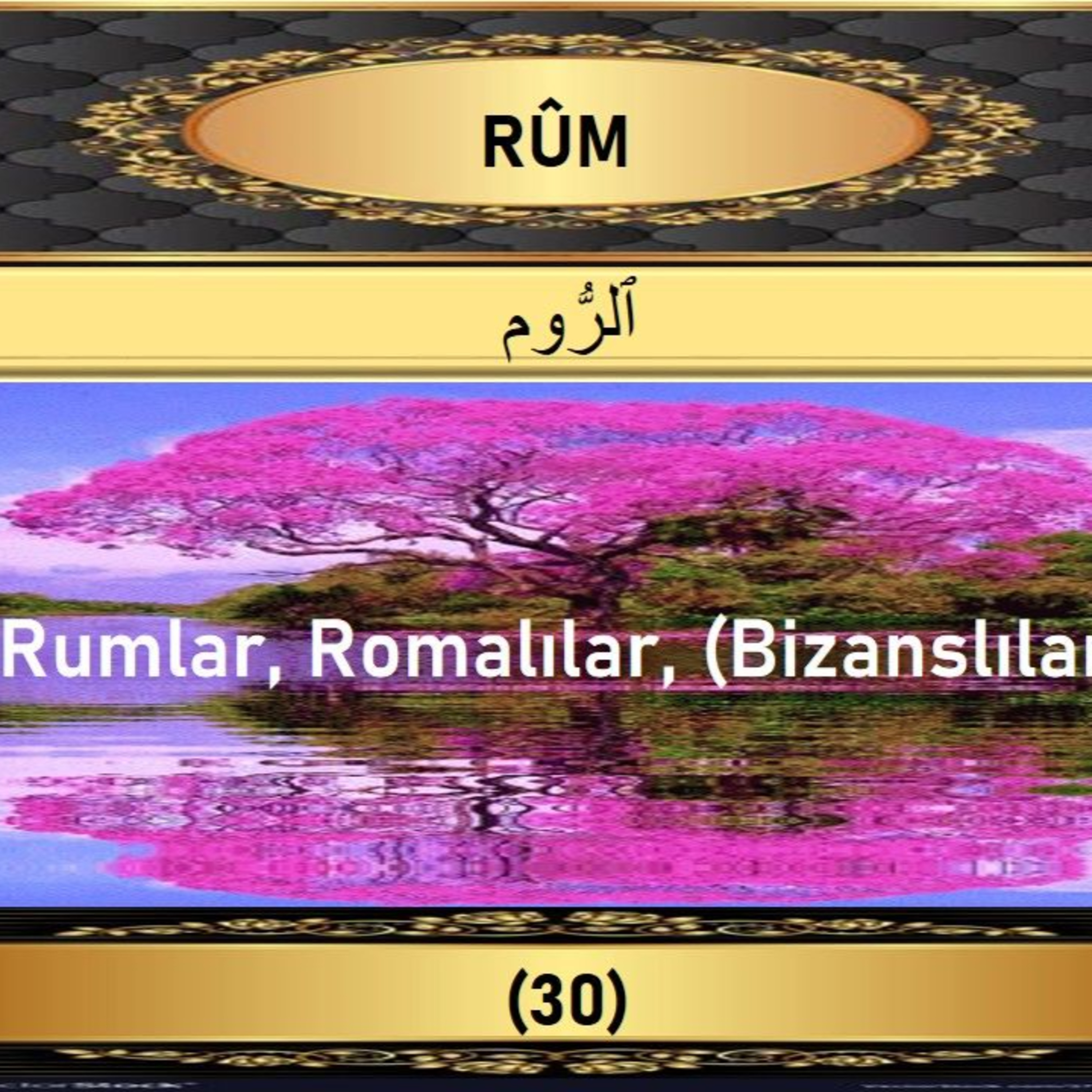 30. Rum Suresi - Yaşar Nuri Öztürk Sesi ve Meali ile (2001) episode artwork