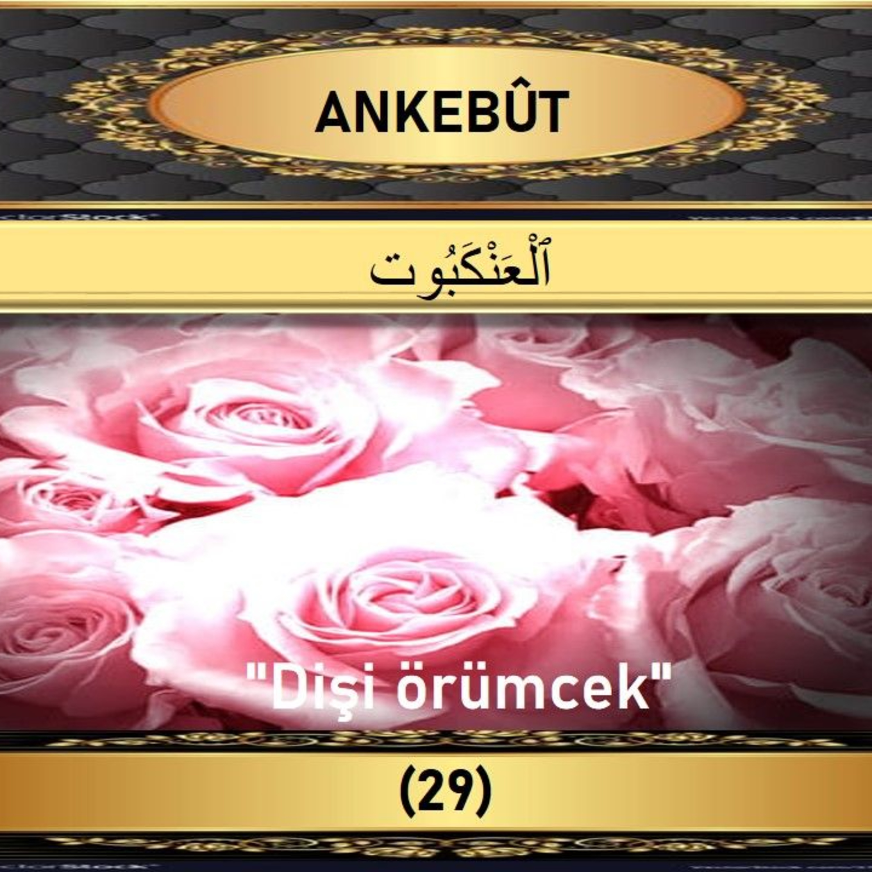 29. Ankebut Suresi - Yaşar Nuri Öztürk Sesi ve Meali ile (2001) episode artwork