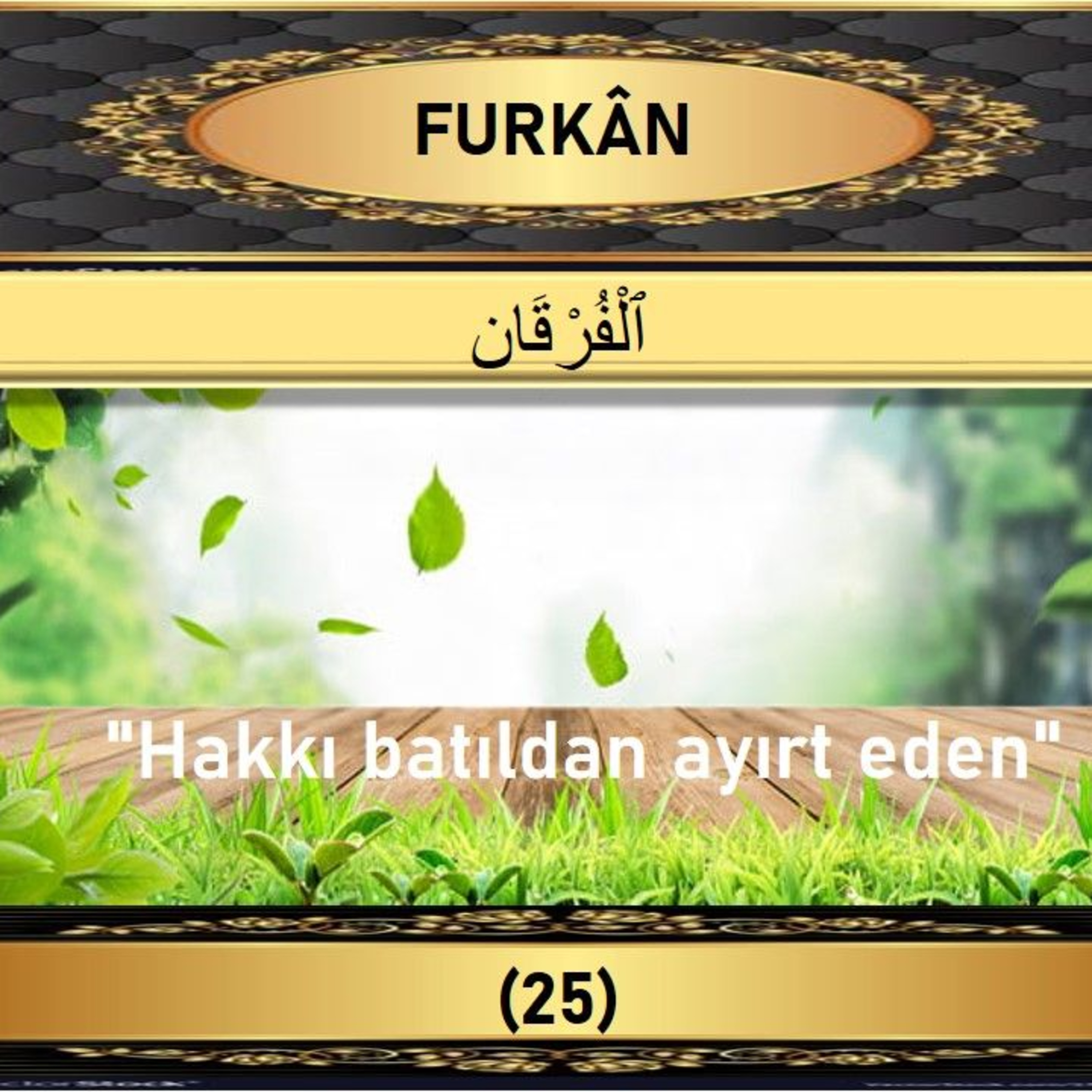 25. Furkan Suresi - Yaşar Nuri Öztürk Sesi ve Meali ile (2001) episode artwork
