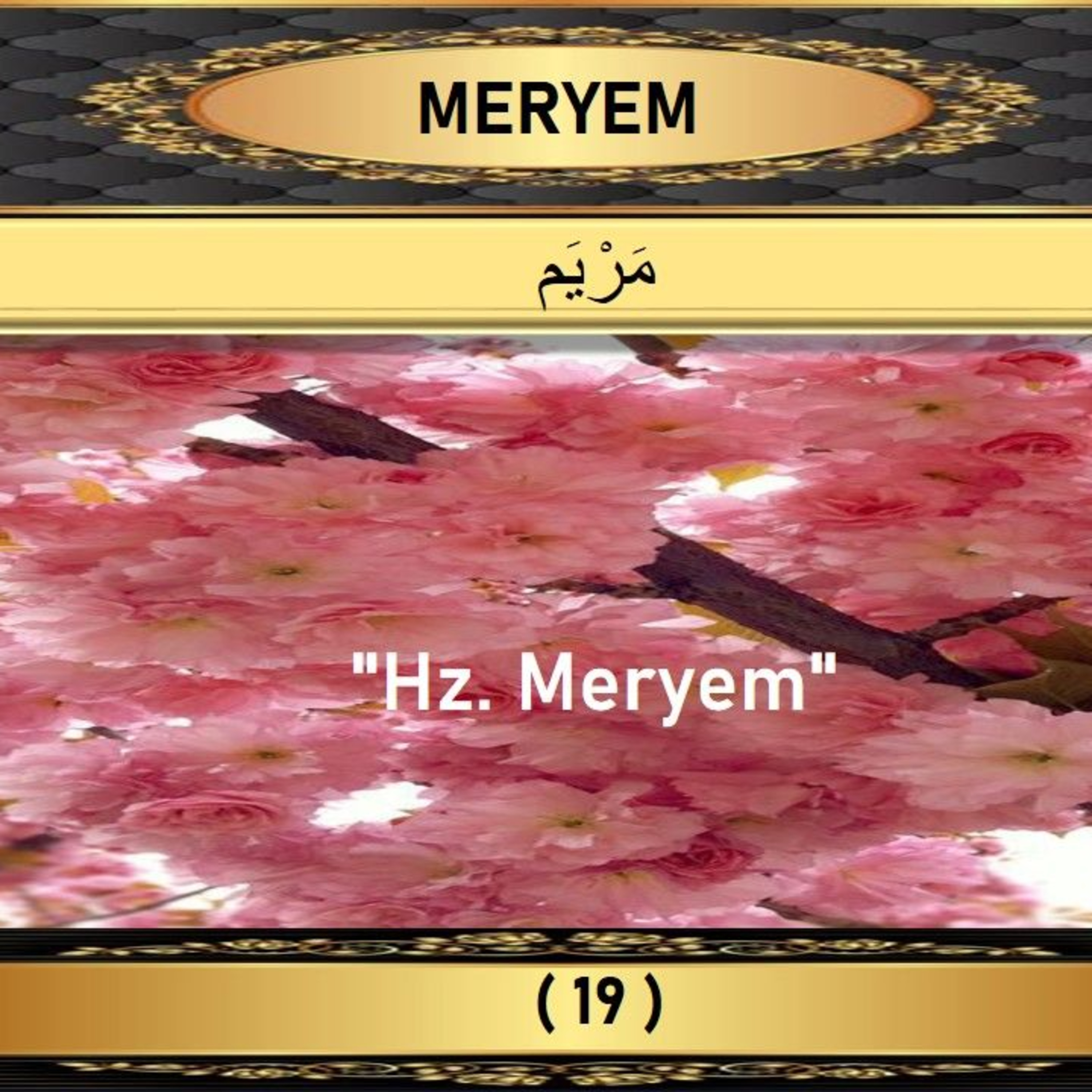 19. Meryem Suresi - Yaşar Nuri Öztürk Sesi ve Meali ile (2001) episode artwork