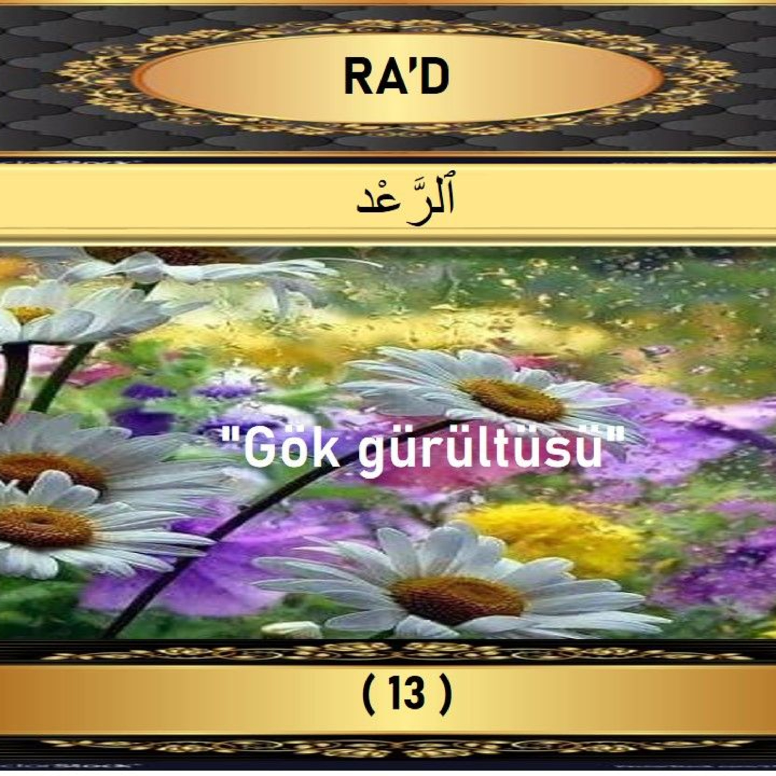 13. Rad Suresi - Yaşar Nuri Öztürk Sesi ve Meali ile (2001) episode artwork