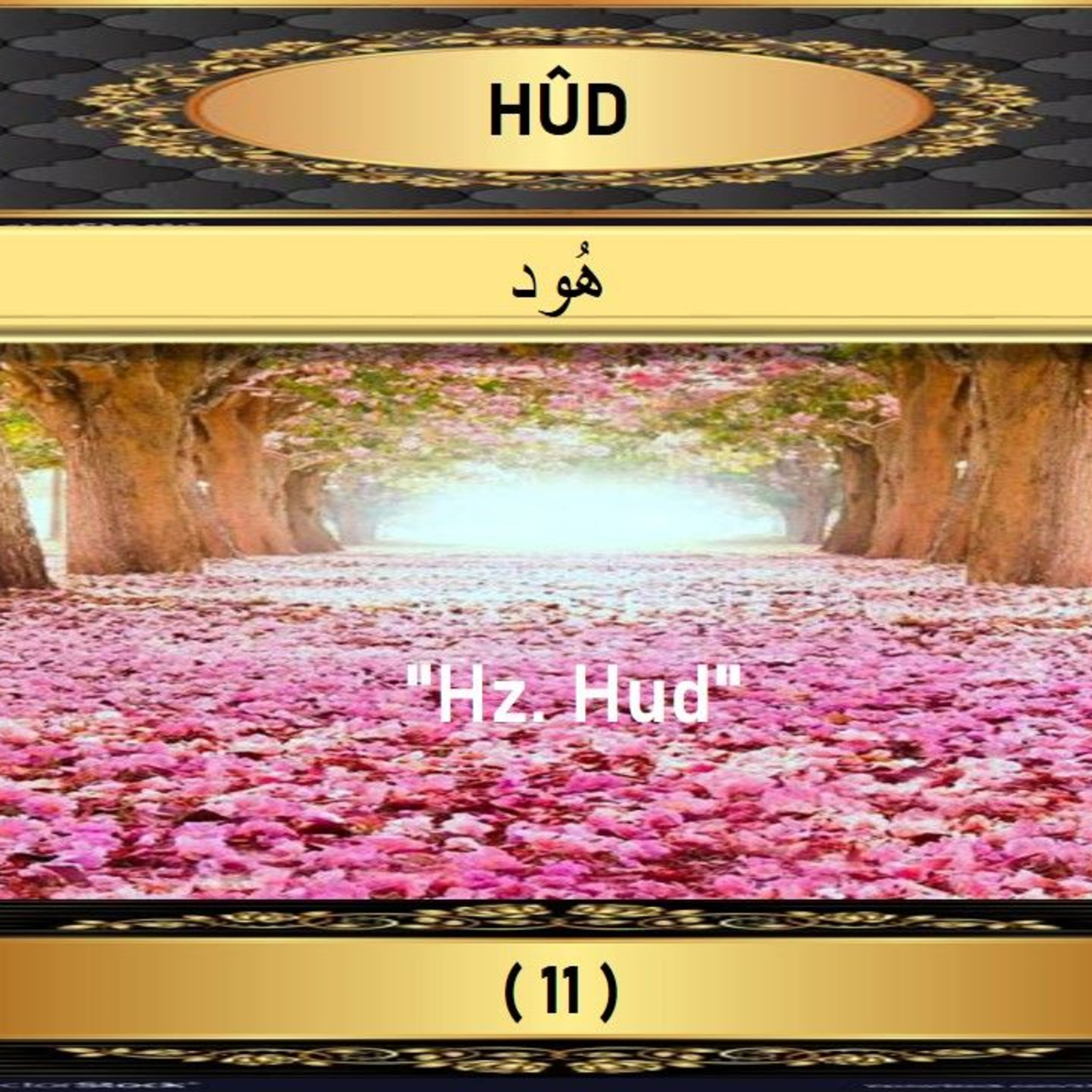 11. Hud Suresi - Yaşar Nuri Öztürk Sesi ve Meali ile (2001) episode artwork