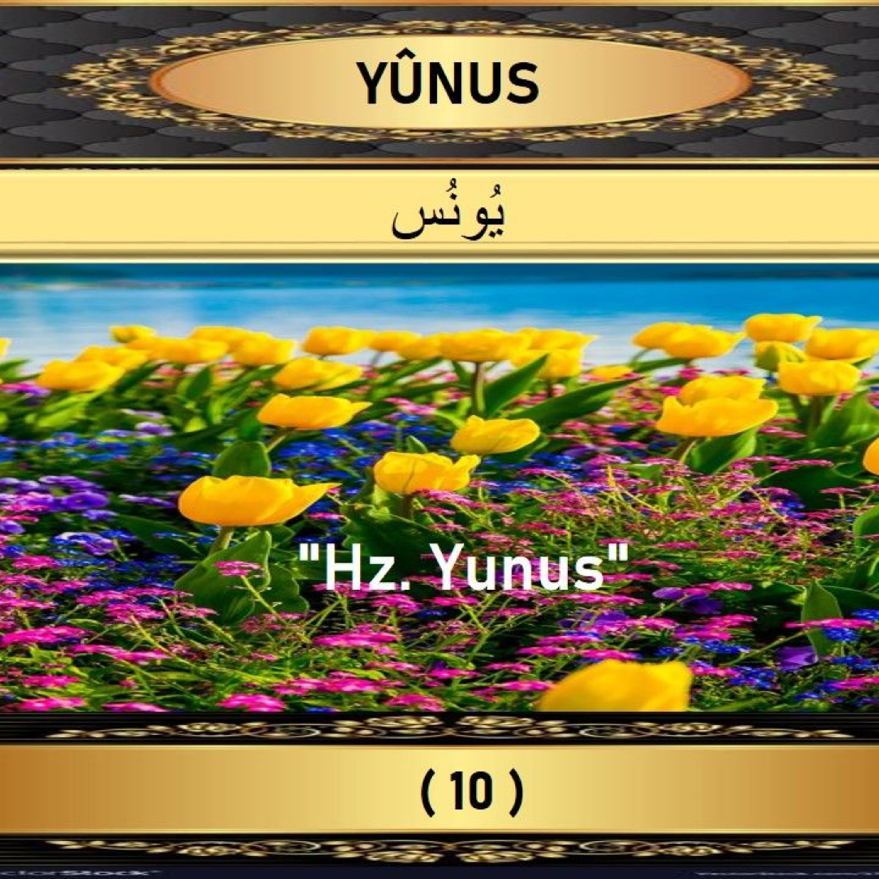 10. Yunus Suresi - Yaşar Nuri Öztürk Sesi ve Meali ile (2001) episode artwork