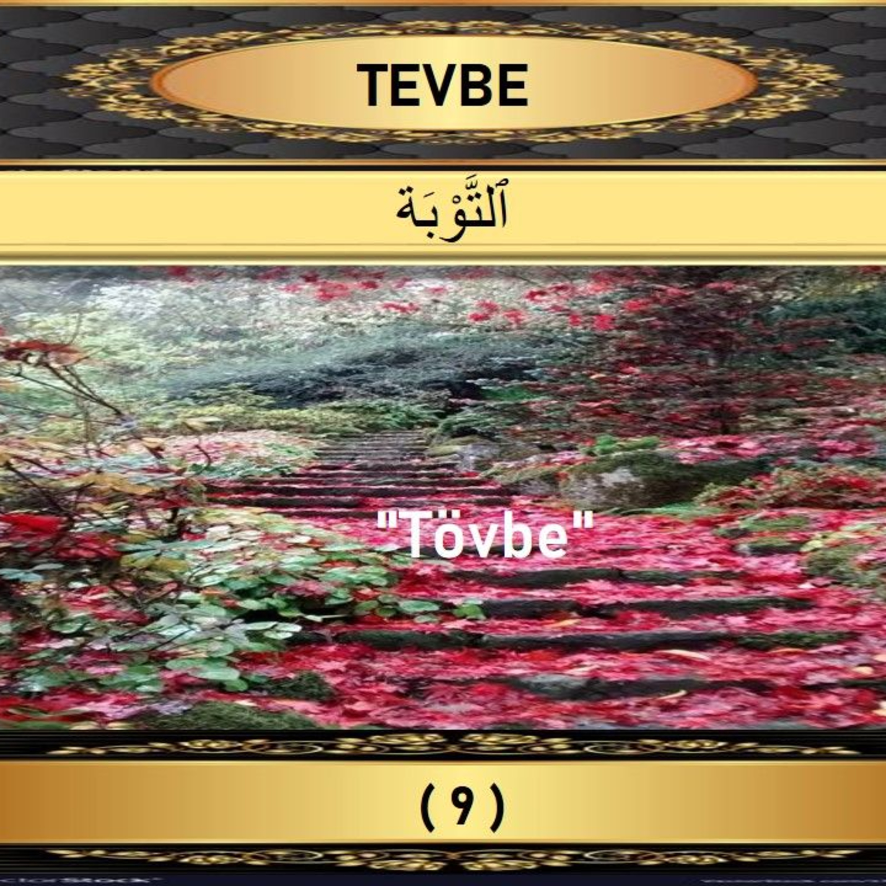 09. Tevbe Suresi - Yaşar Nuri Öztürk Sesi ve Meali ile (2001) episode artwork