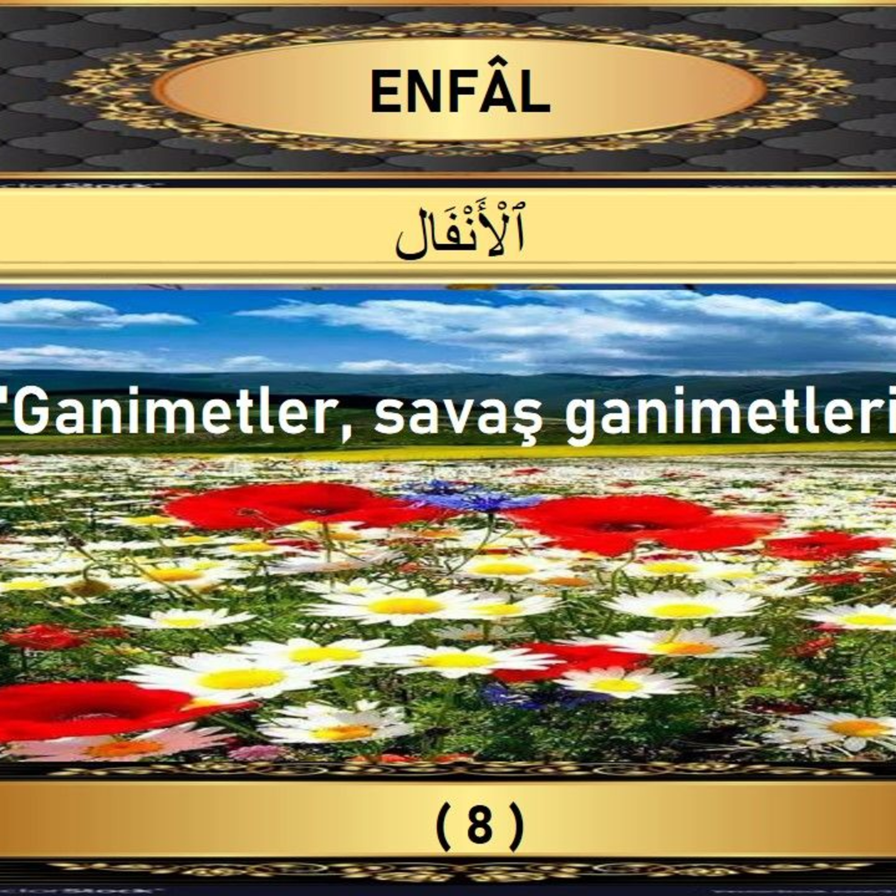 08. Enfal Suresi - Yaşar Nuri Öztürk Sesi ve Meali ile (2001) episode artwork