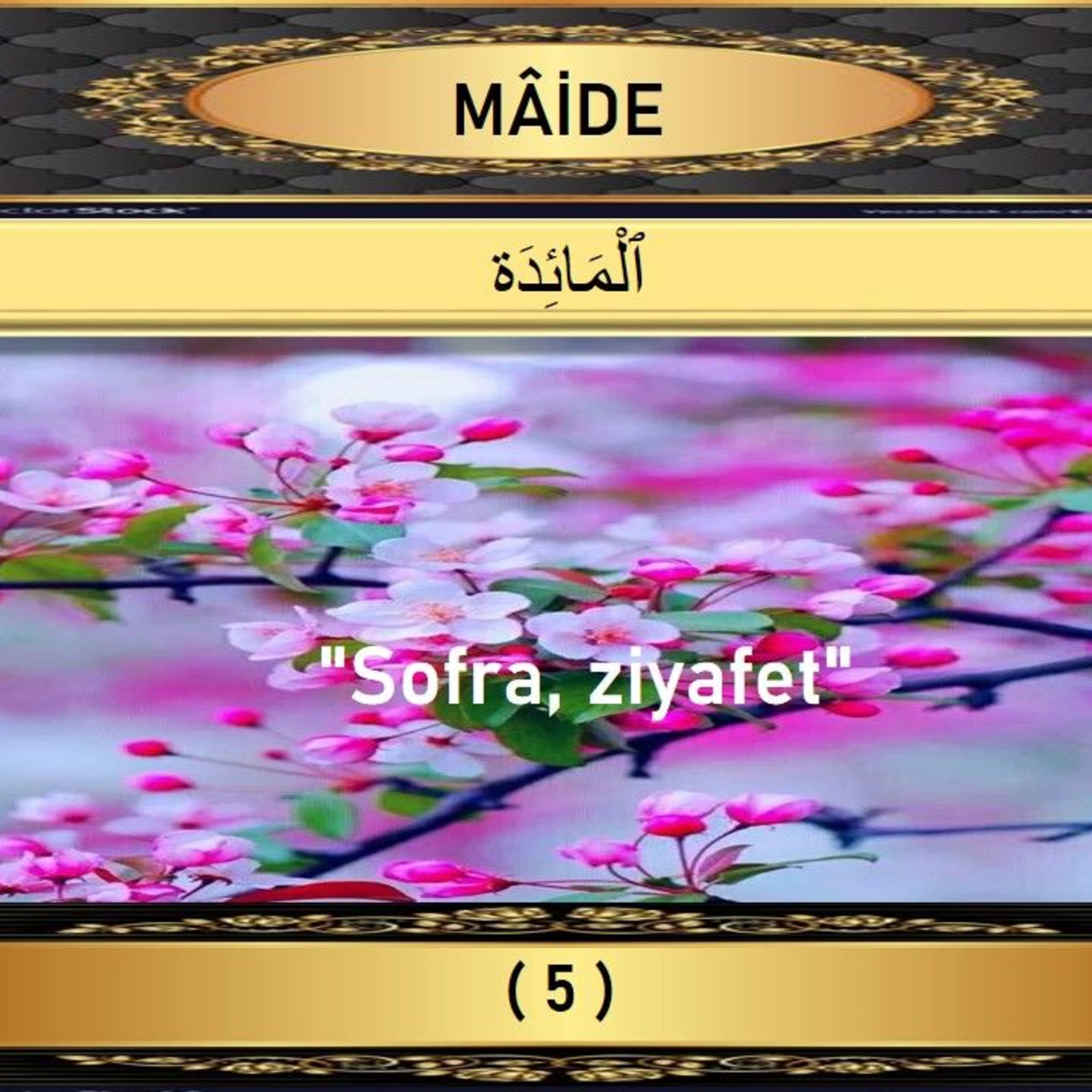 05. Maide Suresi - Yaşar Nuri Öztürk Sesi ve Meali ile (2001) episode artwork