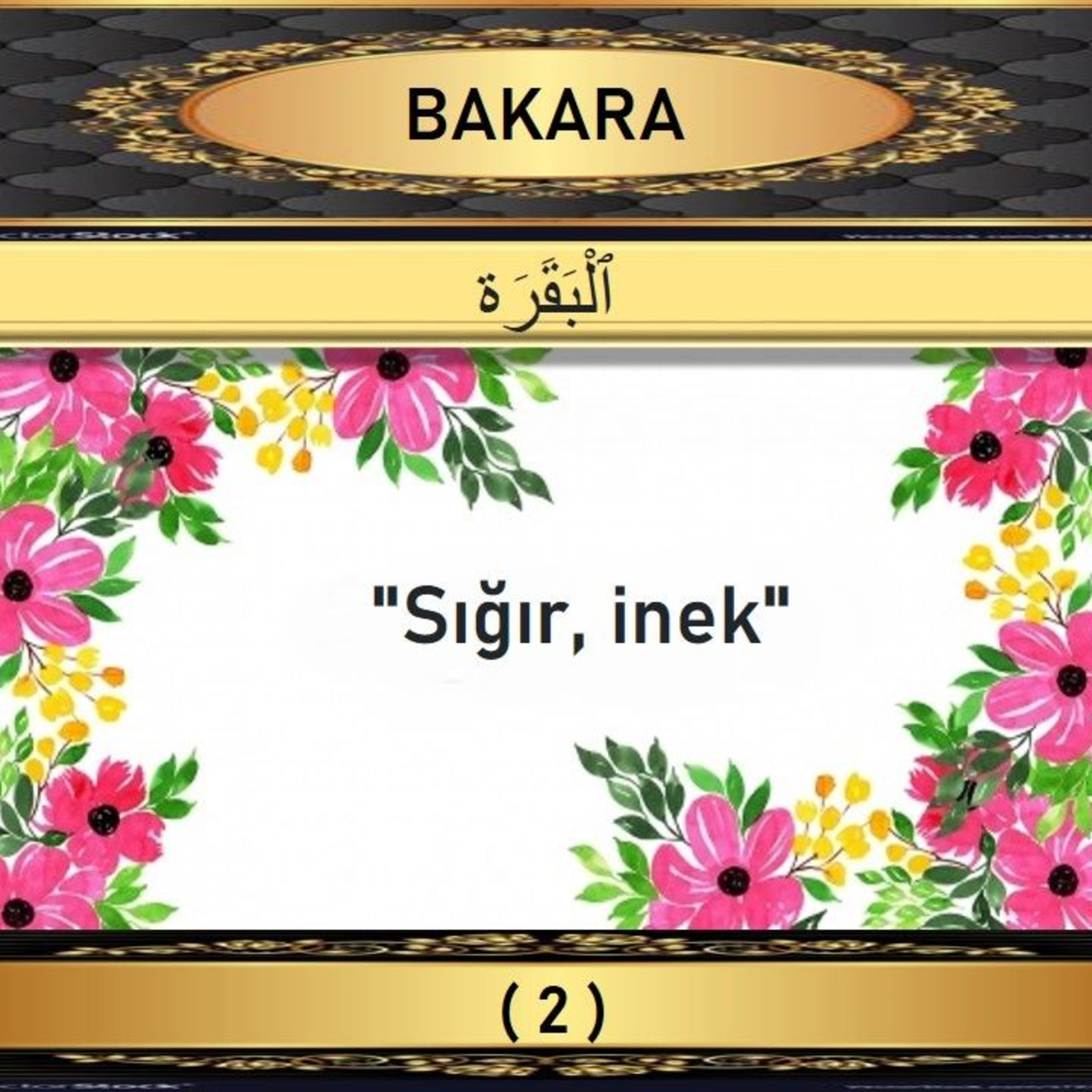 02. Bakara Suresi - Yaşar Nuri Öztürk Sesi ve Meali ile (2001) episode artwork