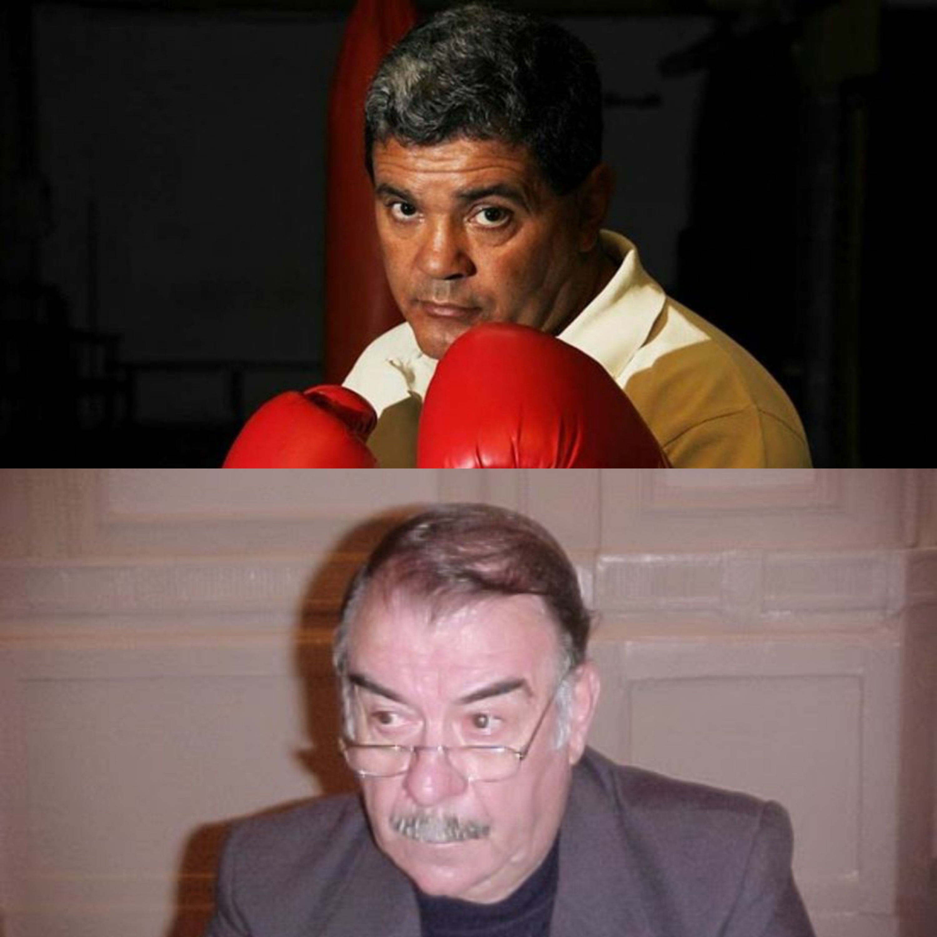 A la Vera del Ring