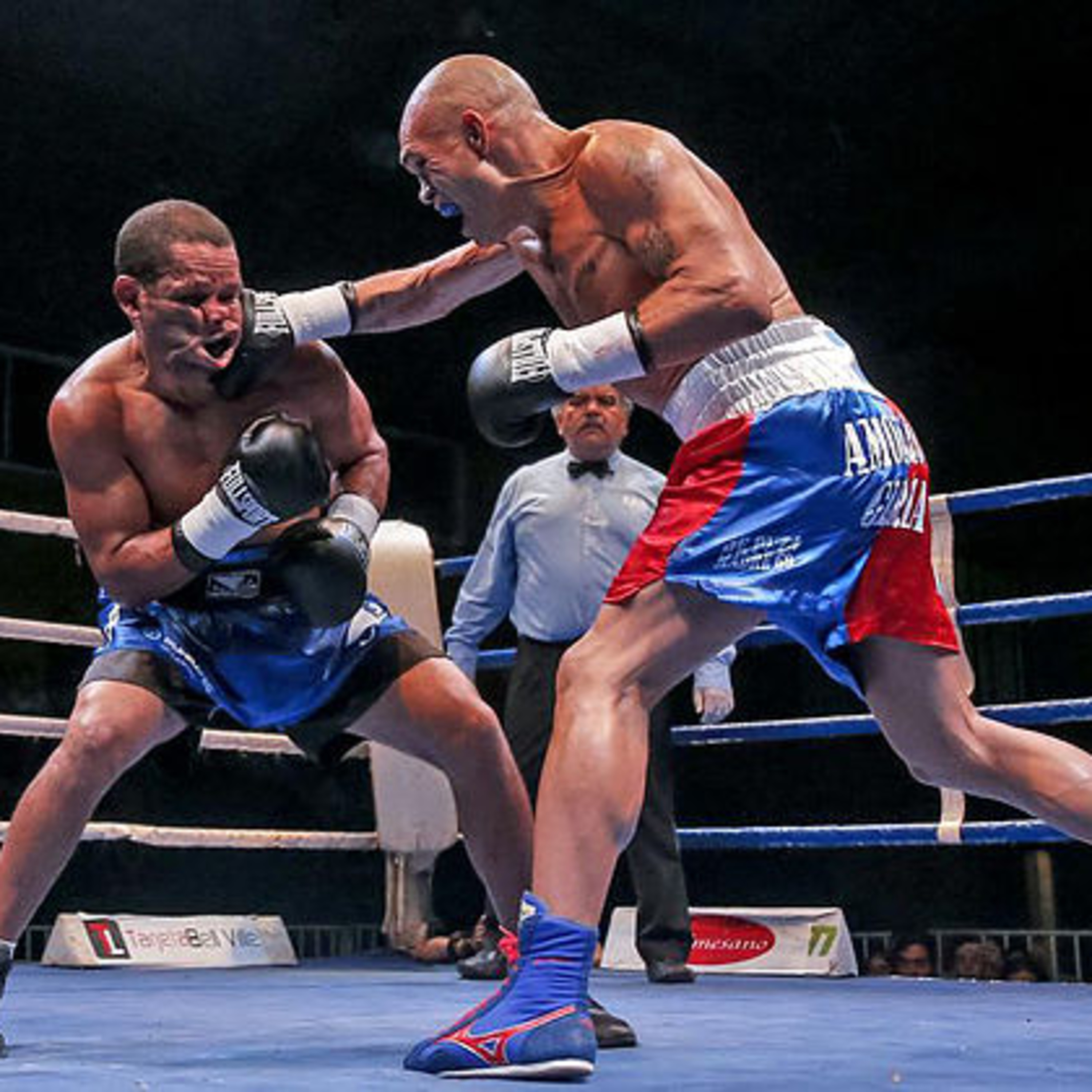A la Vera del Ring