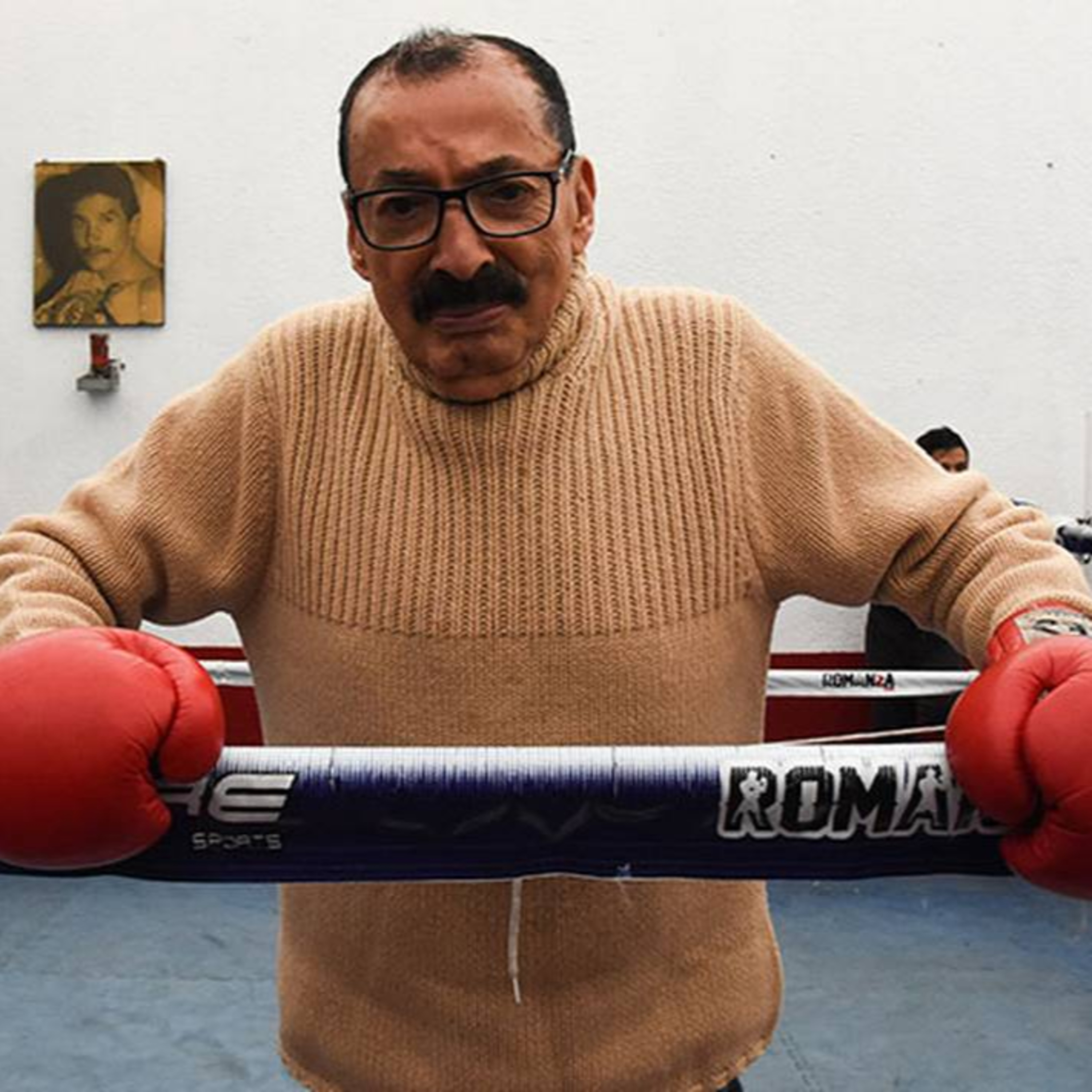 A la Vera del Ring