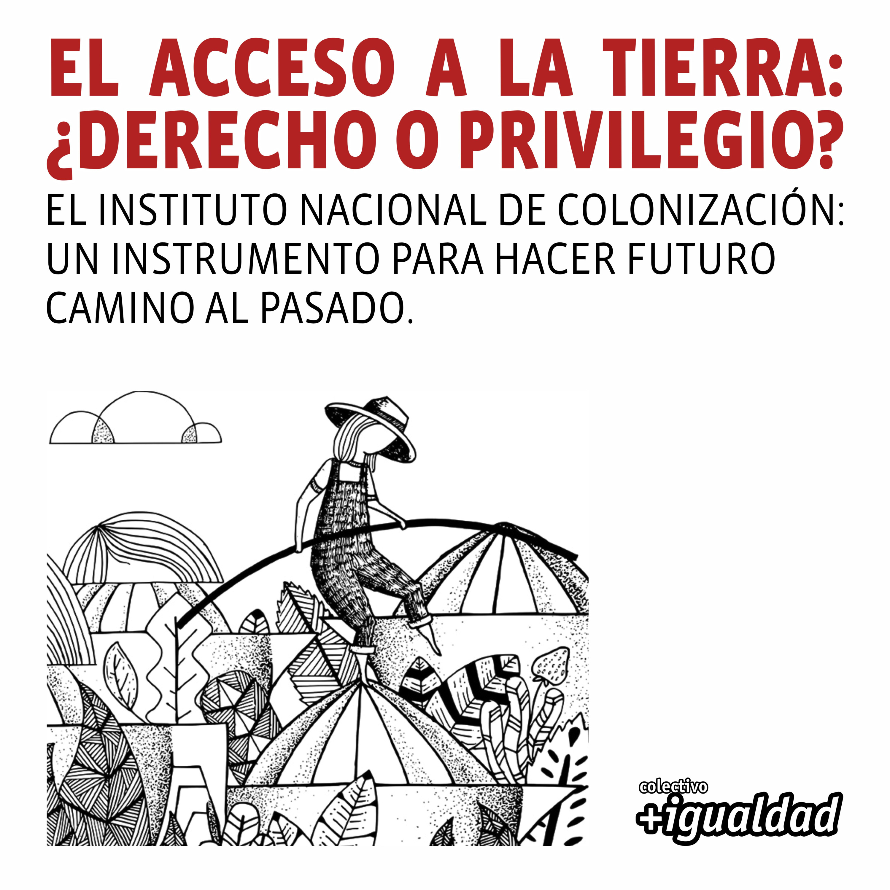 colectivo +igualdad