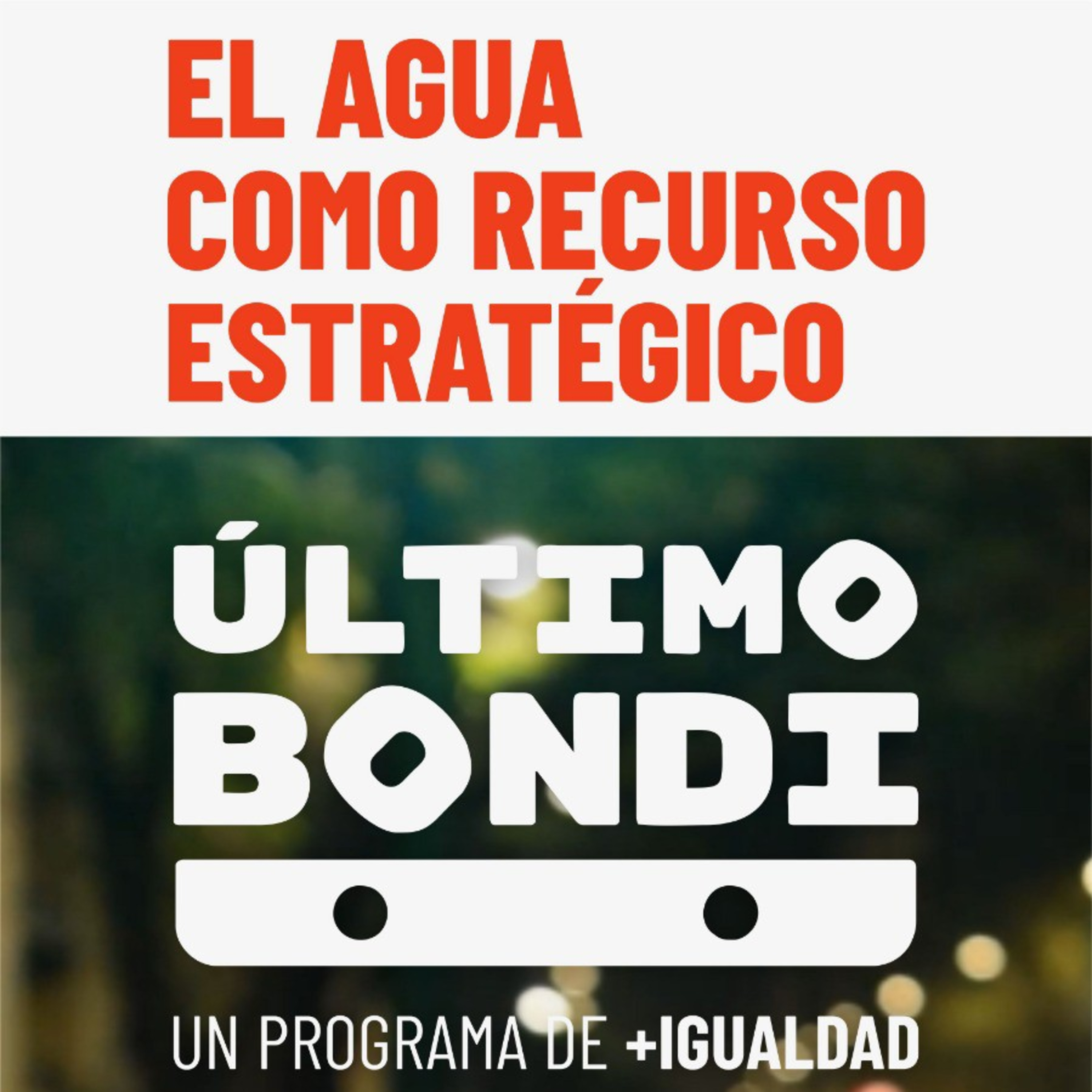 colectivo +igualdad