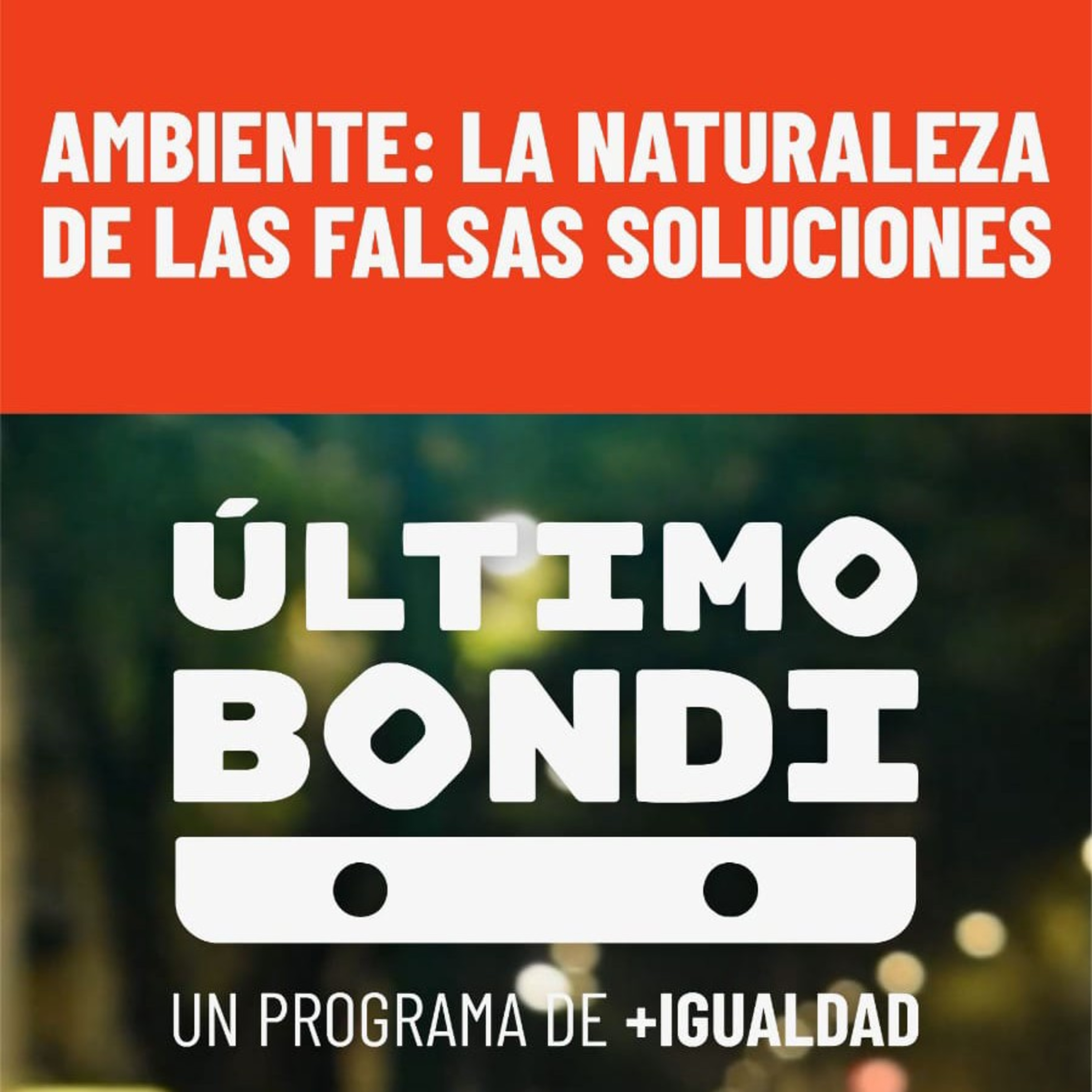 colectivo +igualdad